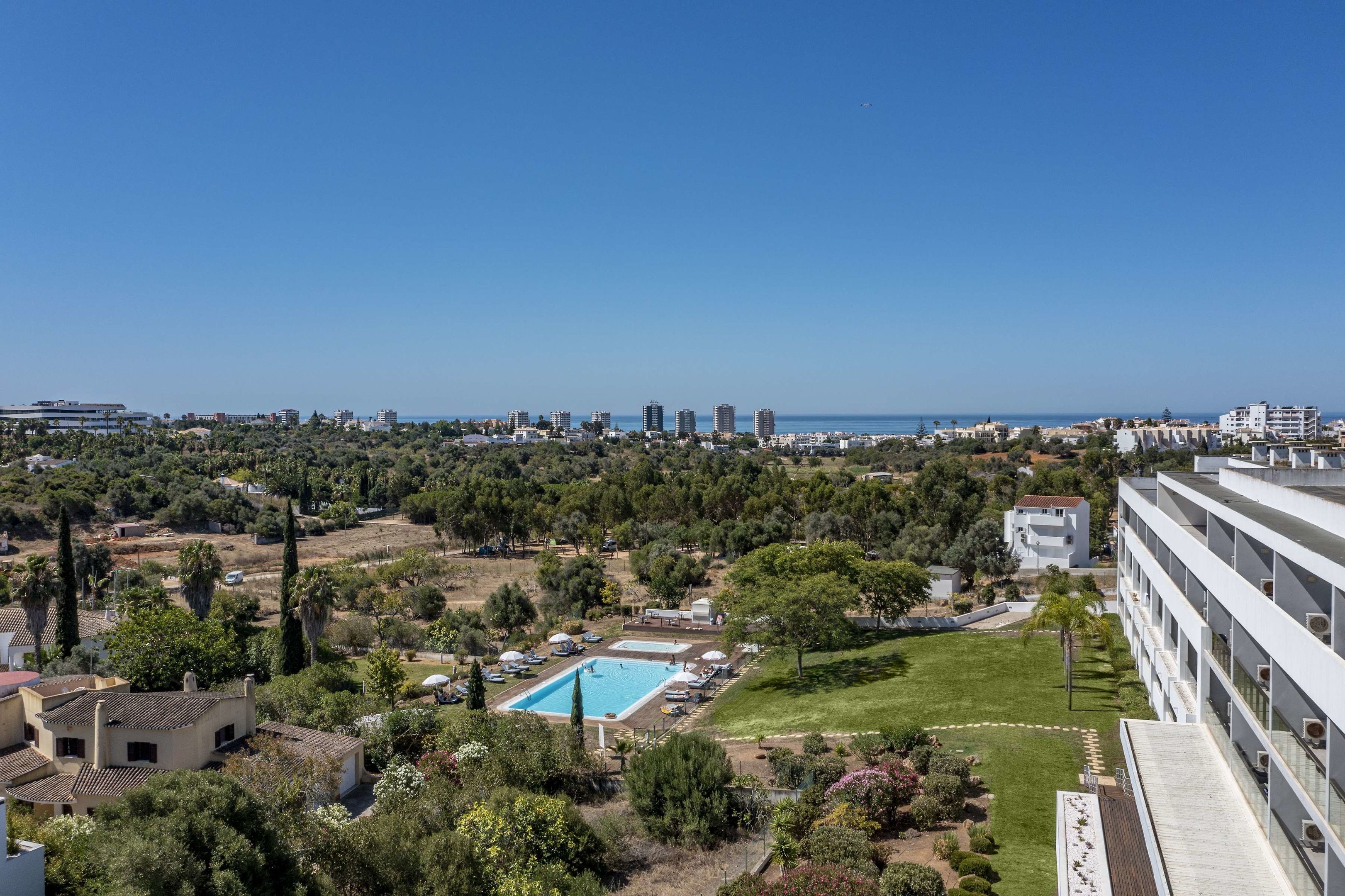 pelican-alvor