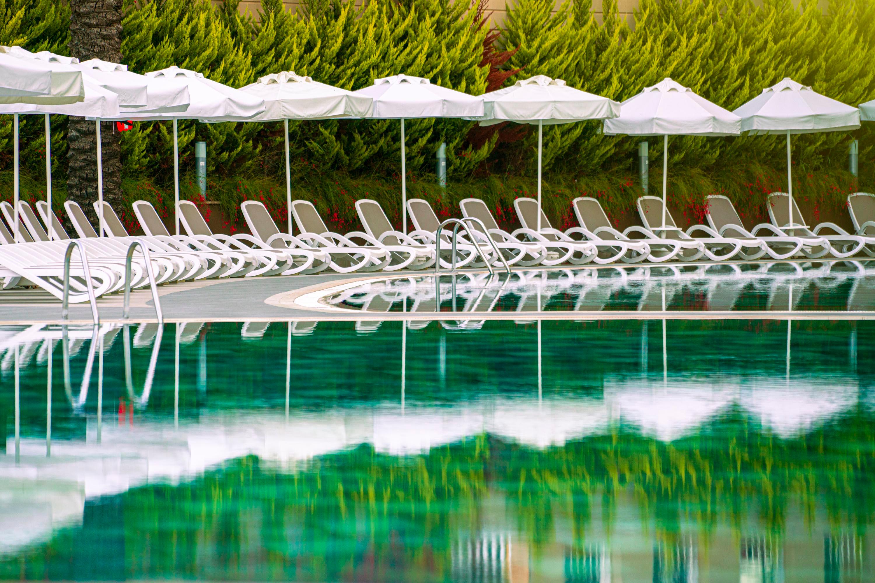 leodikya-kirman-premium