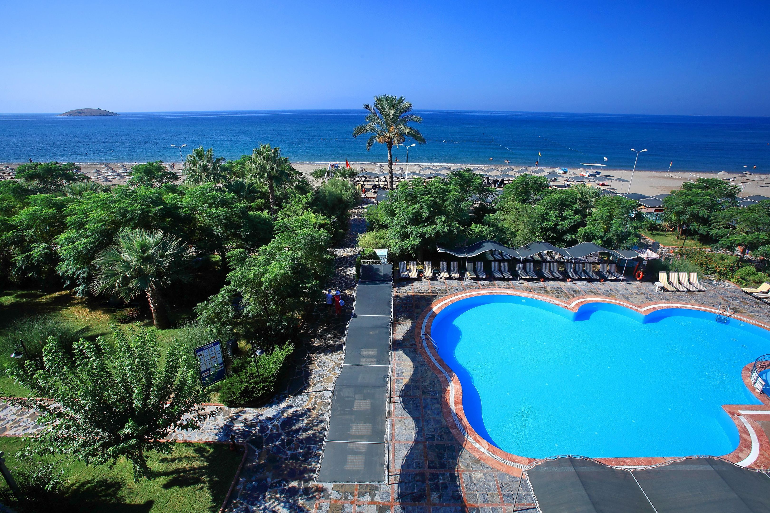 club-cactus-paradise