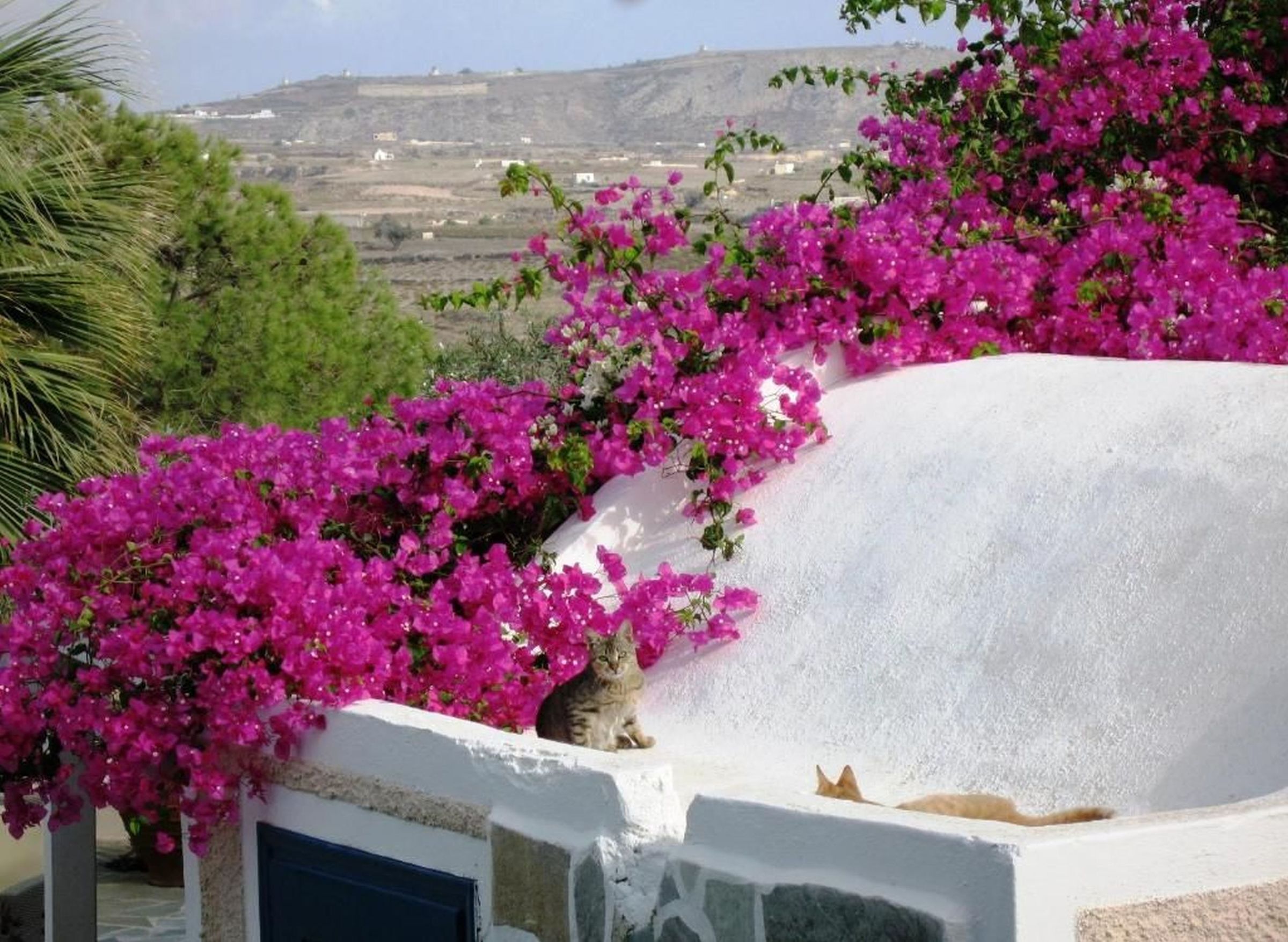 Paradise Resort, GR