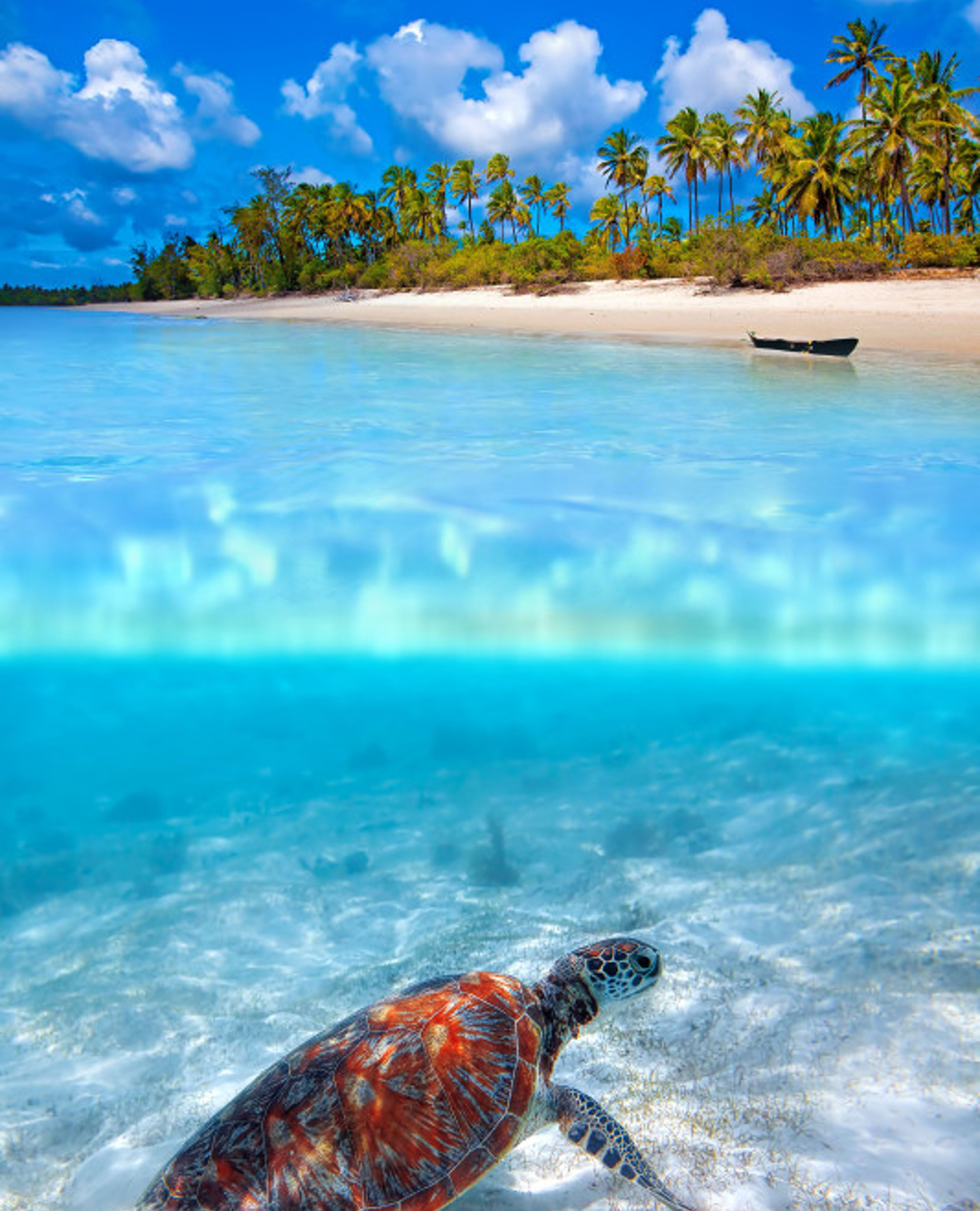 Over een vakantie op Zanzibar
