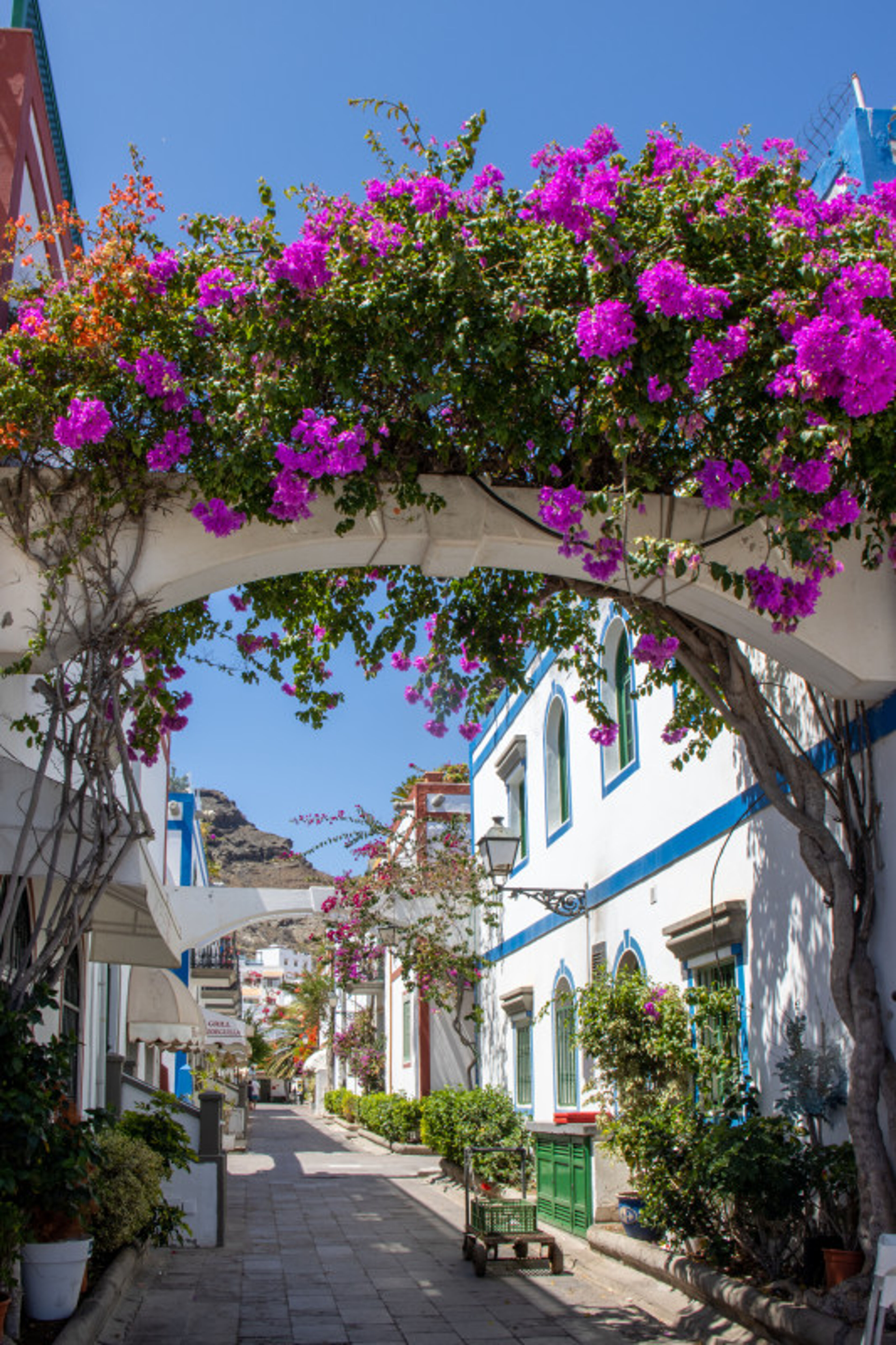 Over een vakantie in Puerto de Mogán