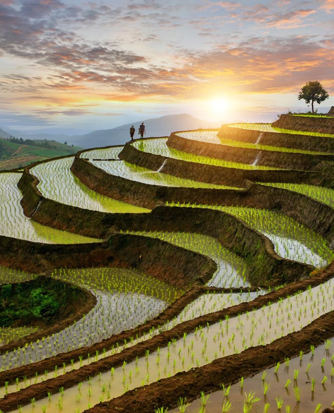 Over een last minute vakantie naar Thailand