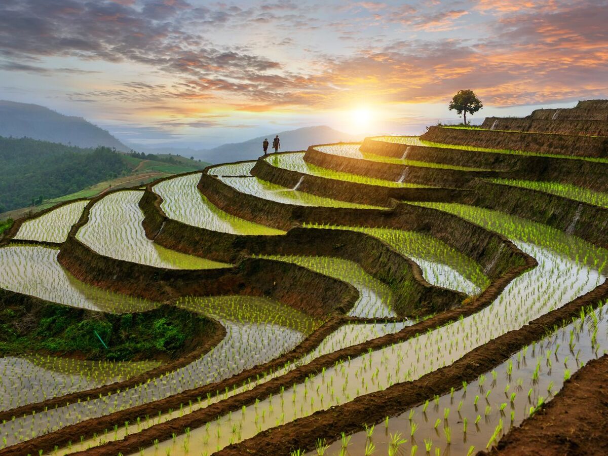 Vakantie Thailand