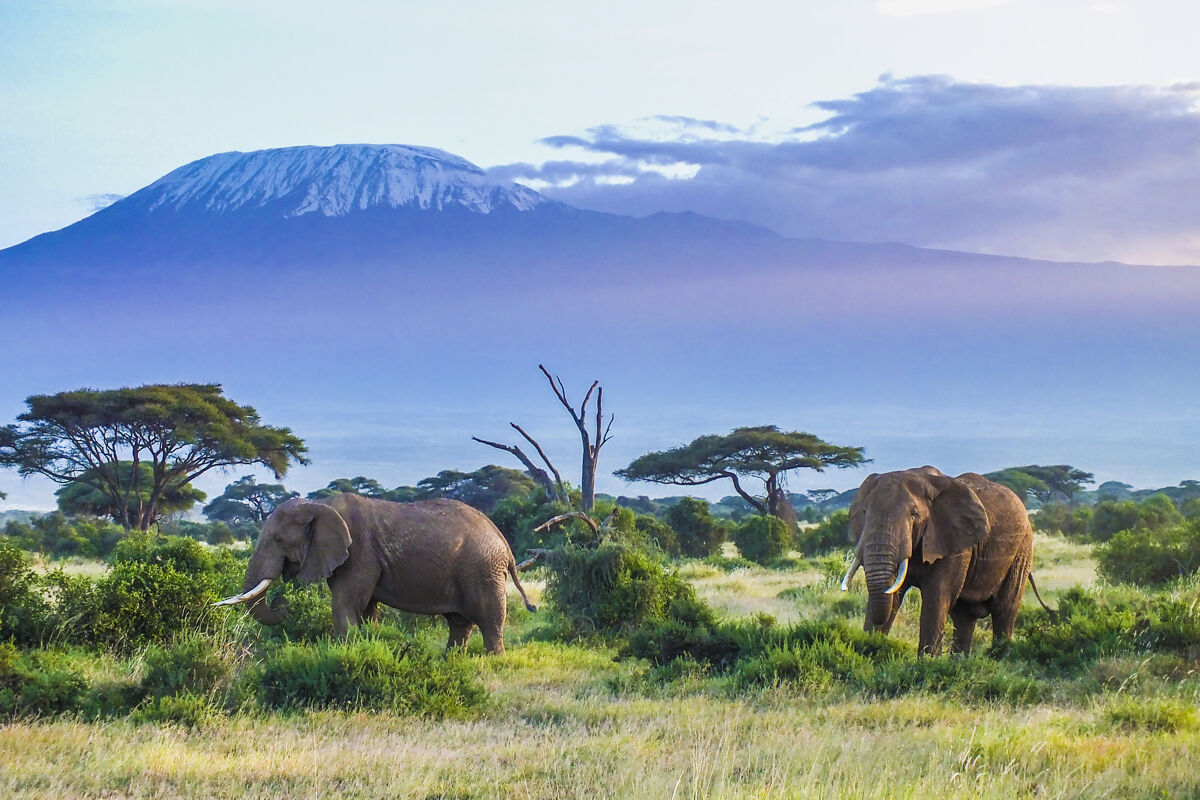 Vakantie Tanzania