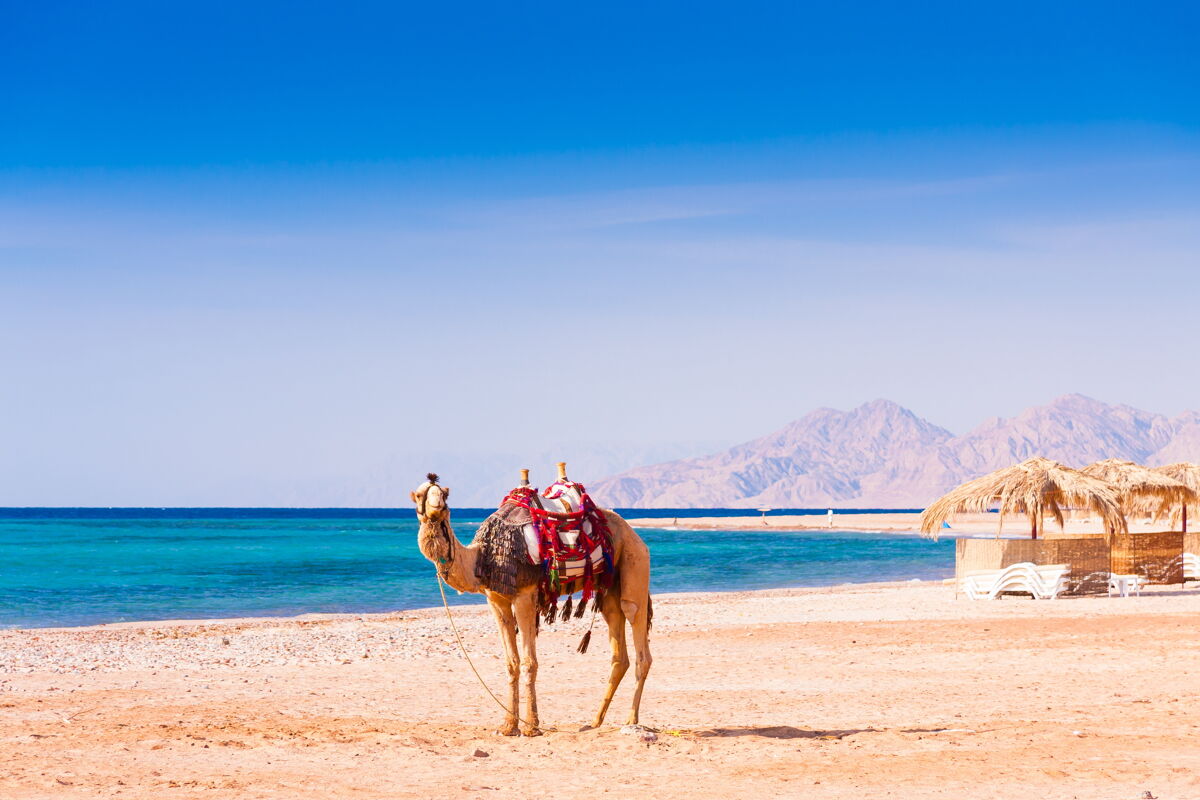 Vakantie Egypte Goedkope vakanties Vakanties.nl