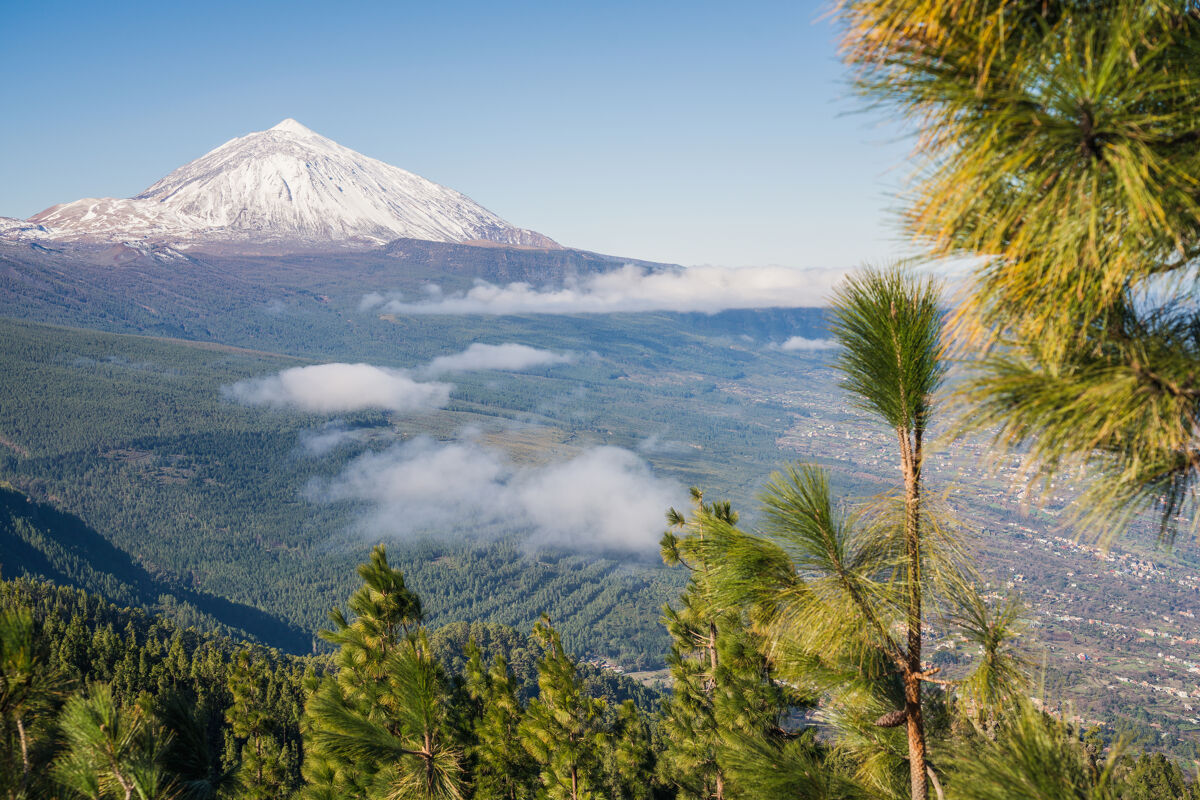 Over een vakantie naar Tenerife