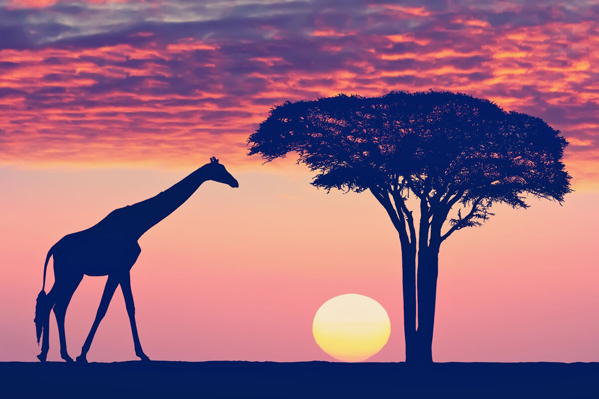 Vakantie Tanzania