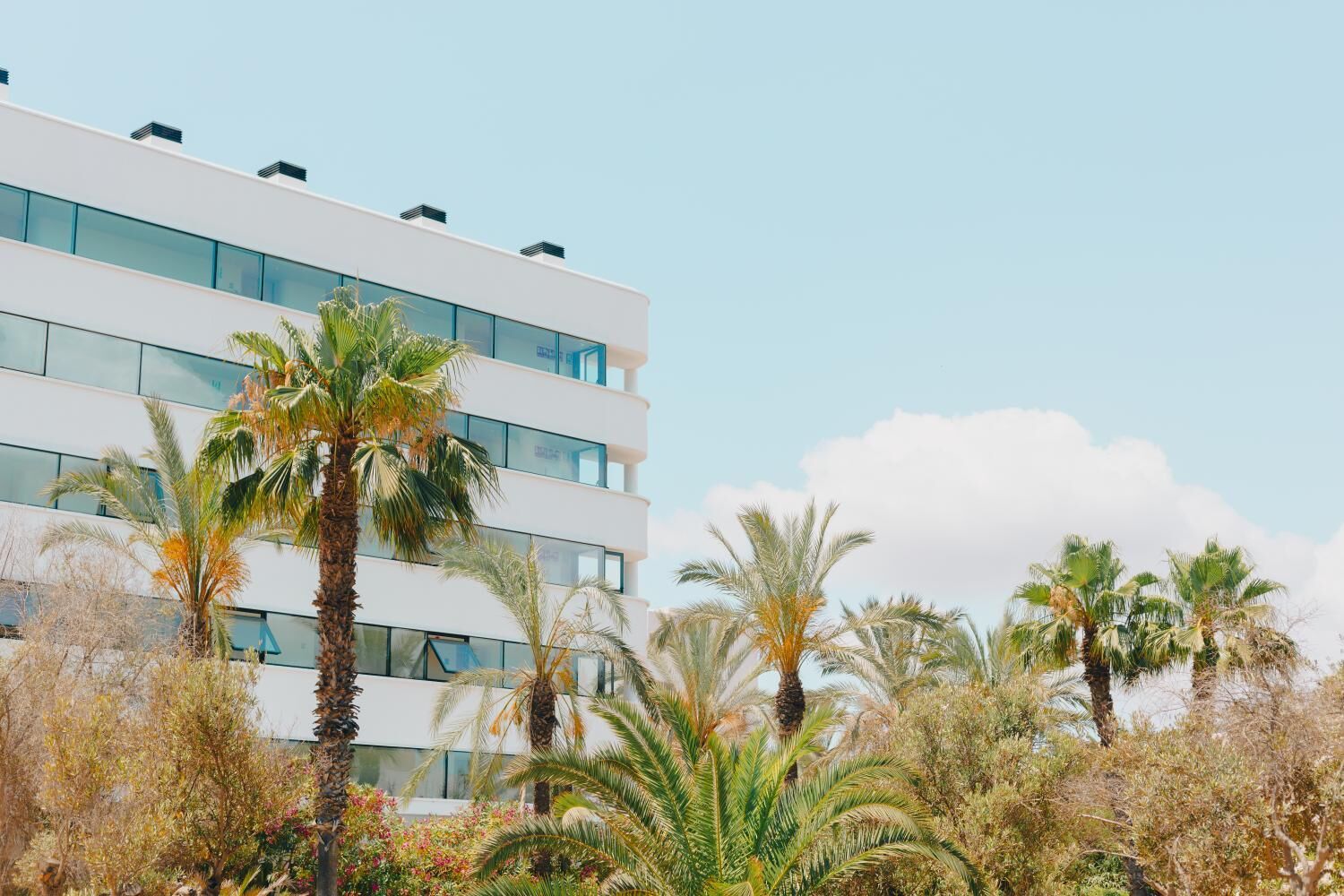 el-hotel-pacha