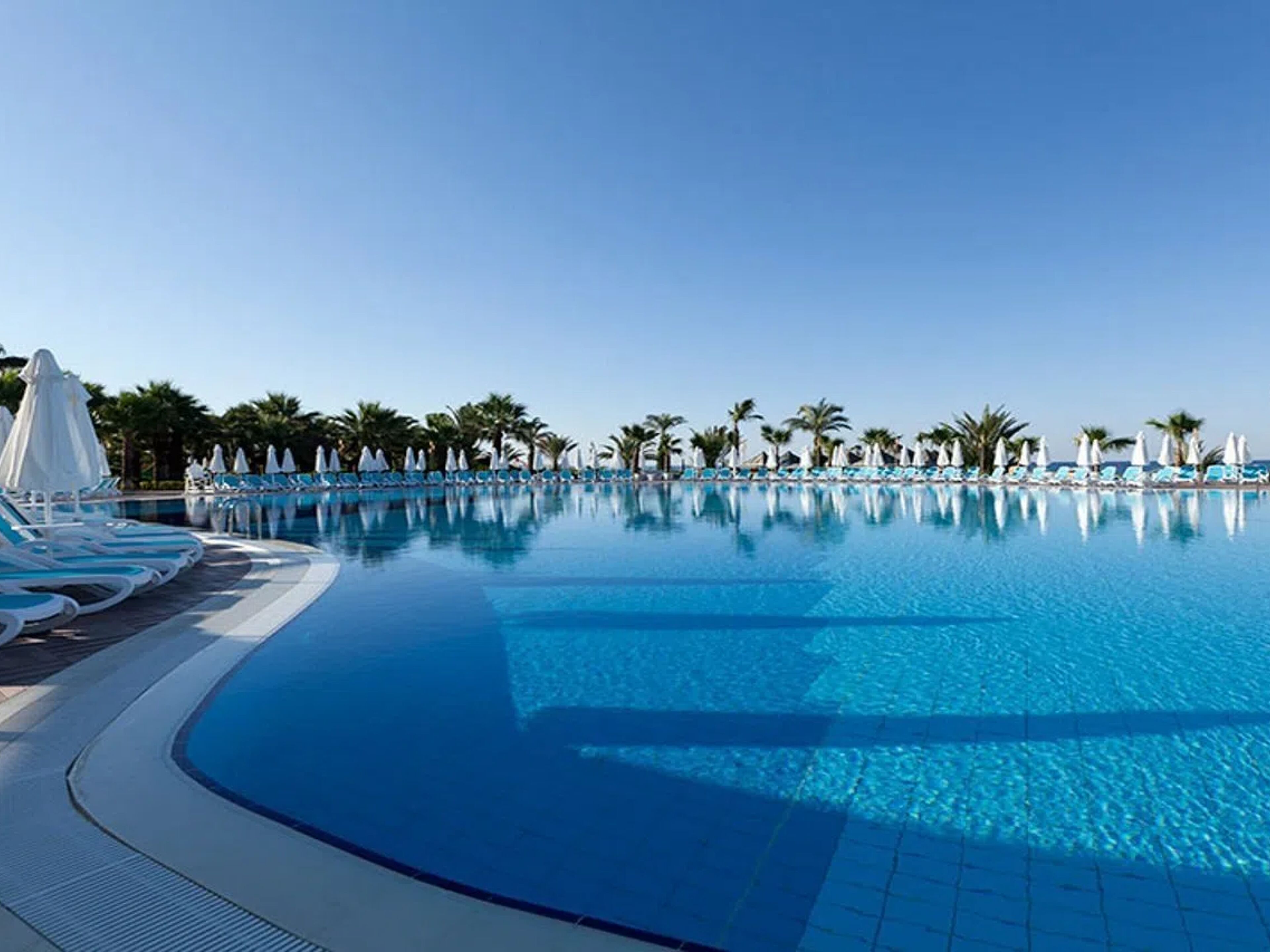 Paloma Oceana