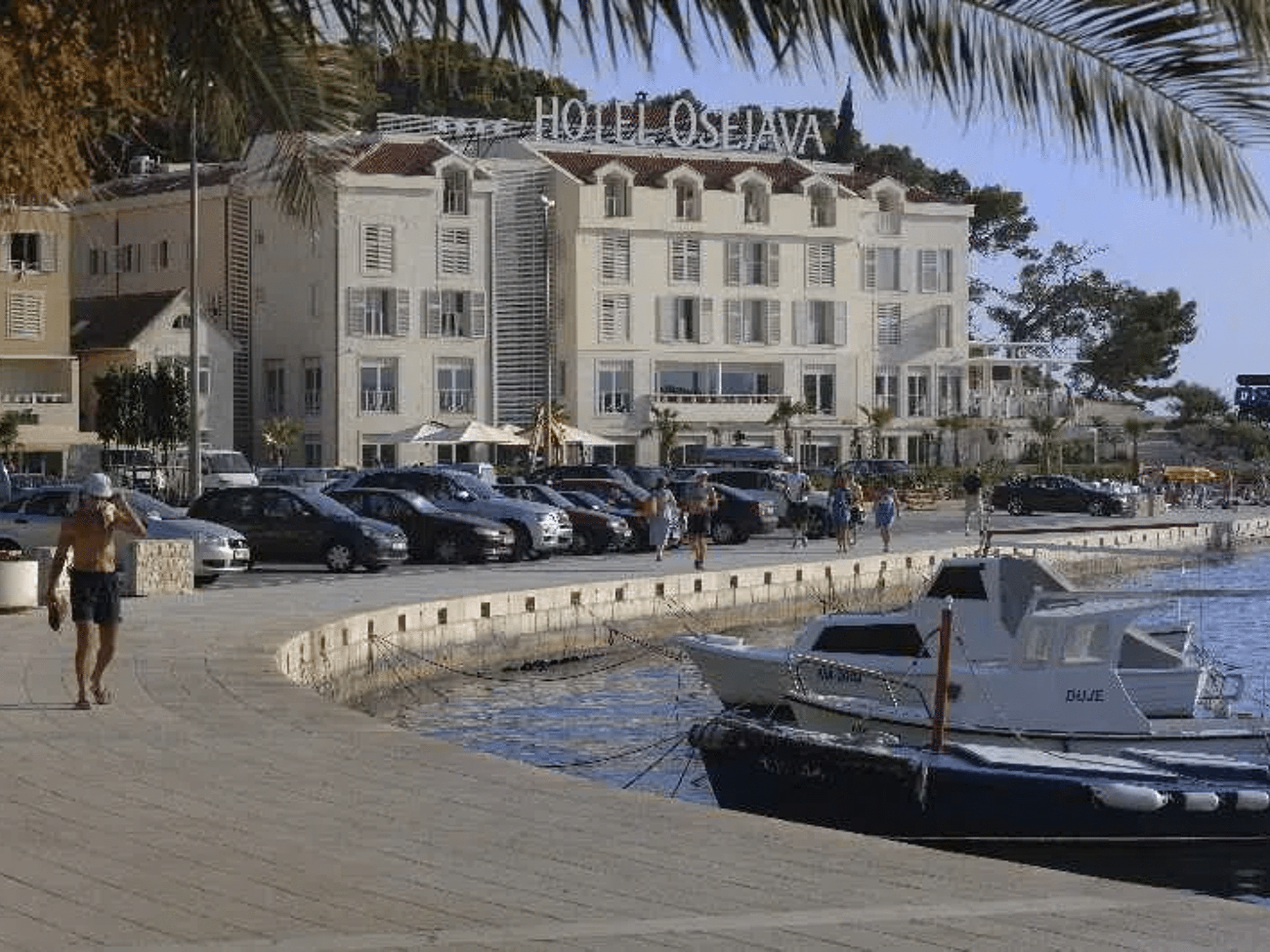Hotel Osejava