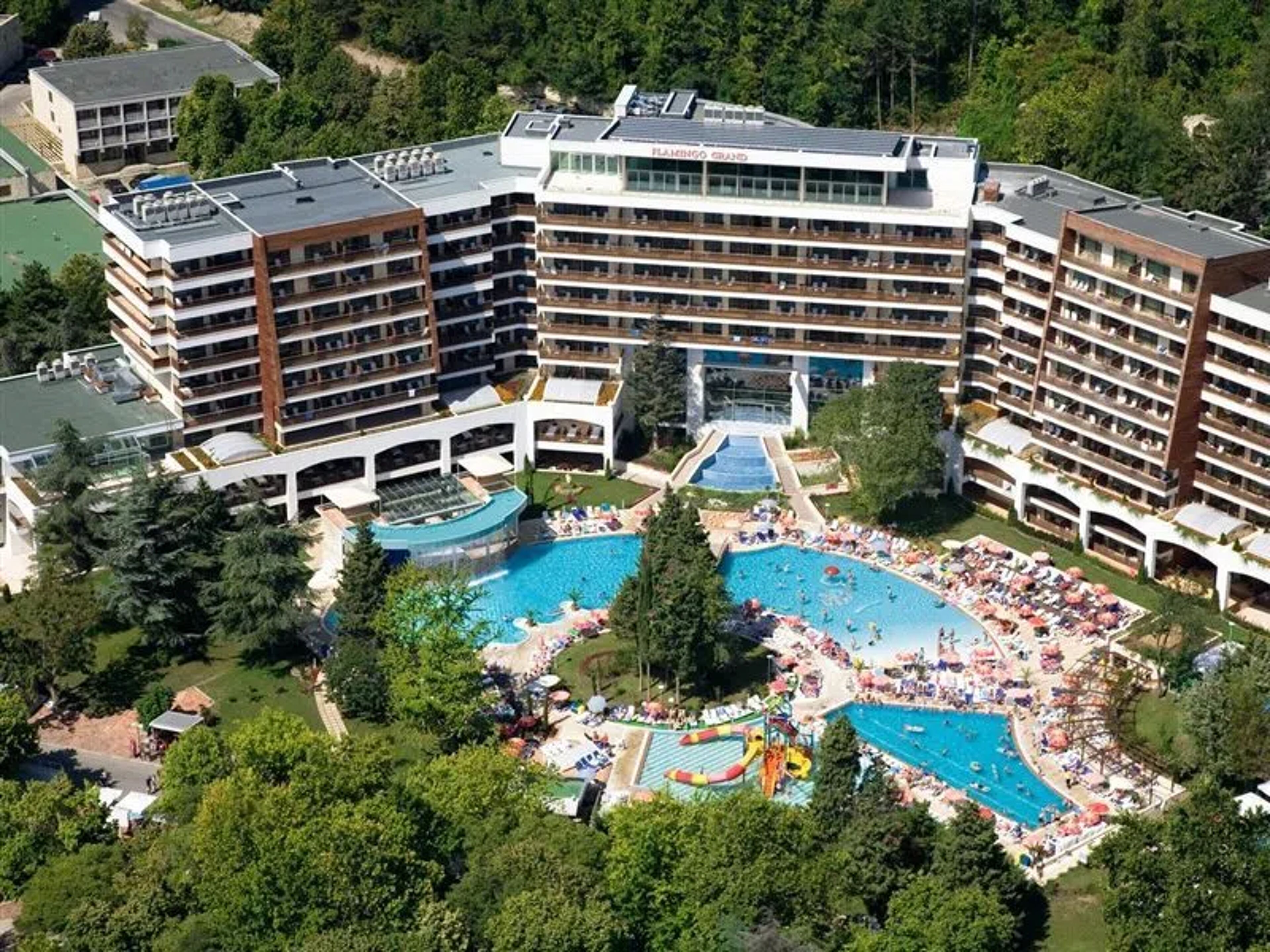 Flamingo Grand