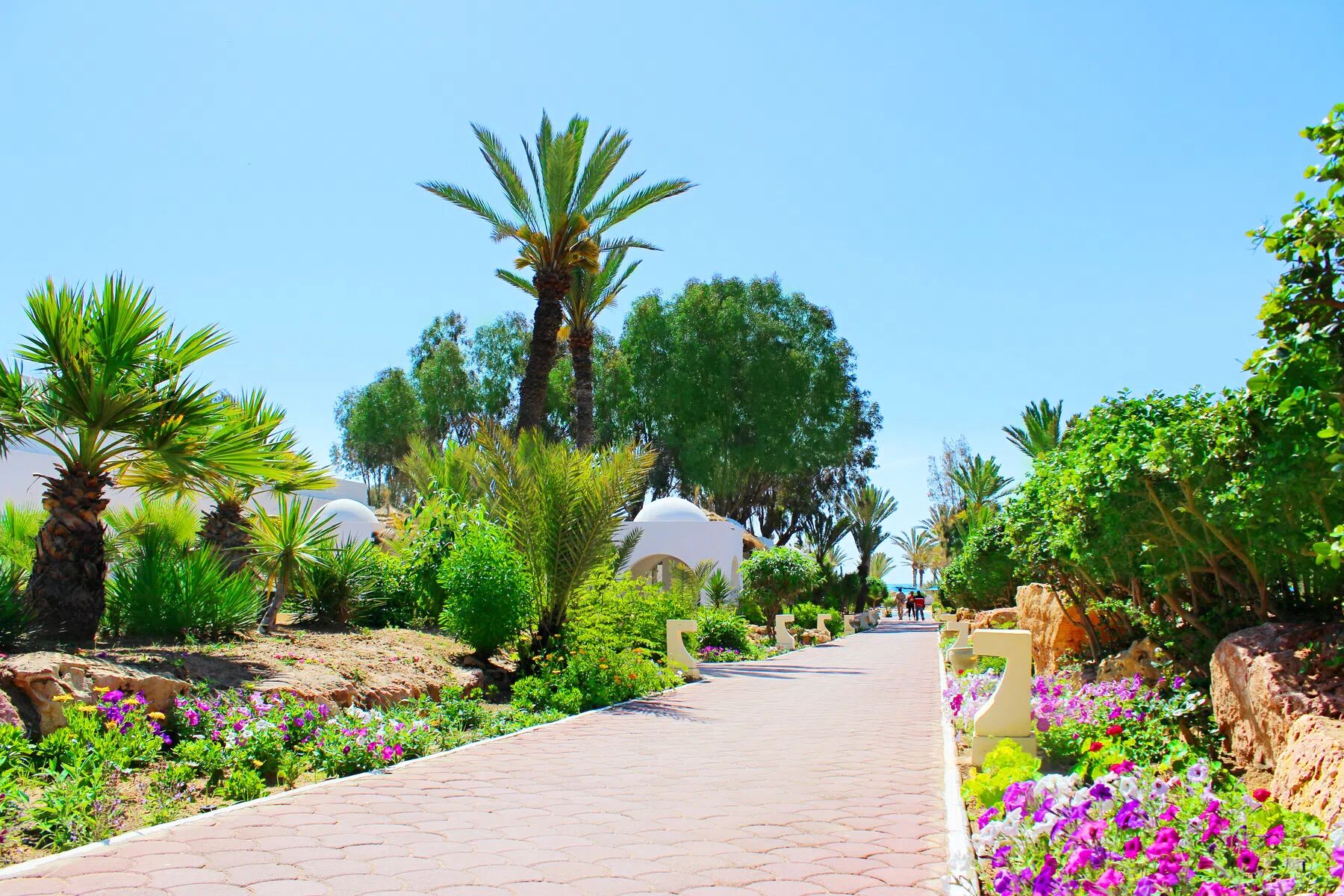 AMTSTN0KUQ 827116