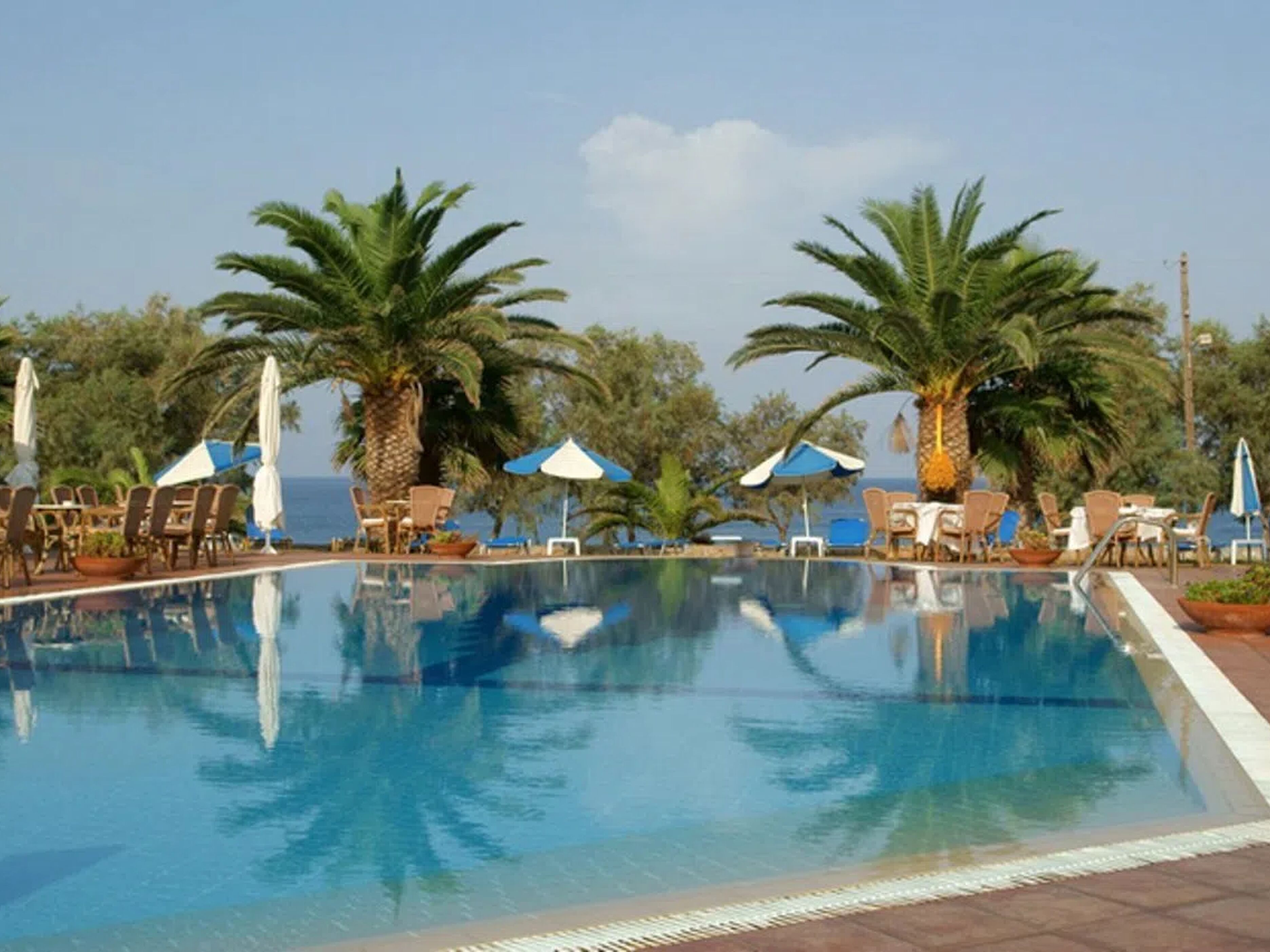 Oasis