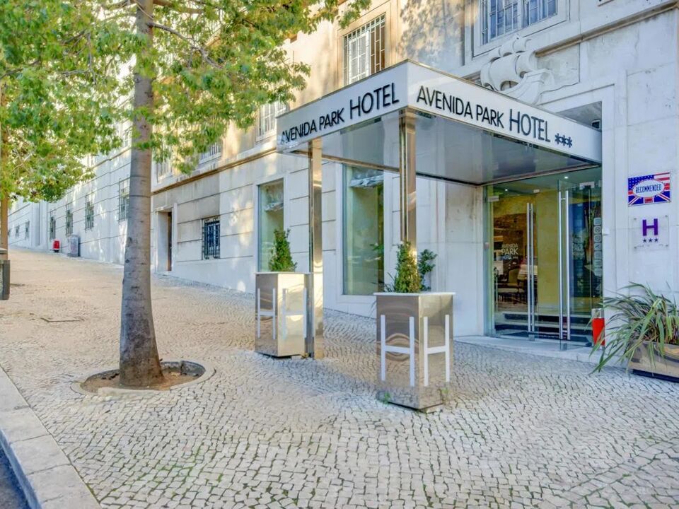 Hotel Avenida Park