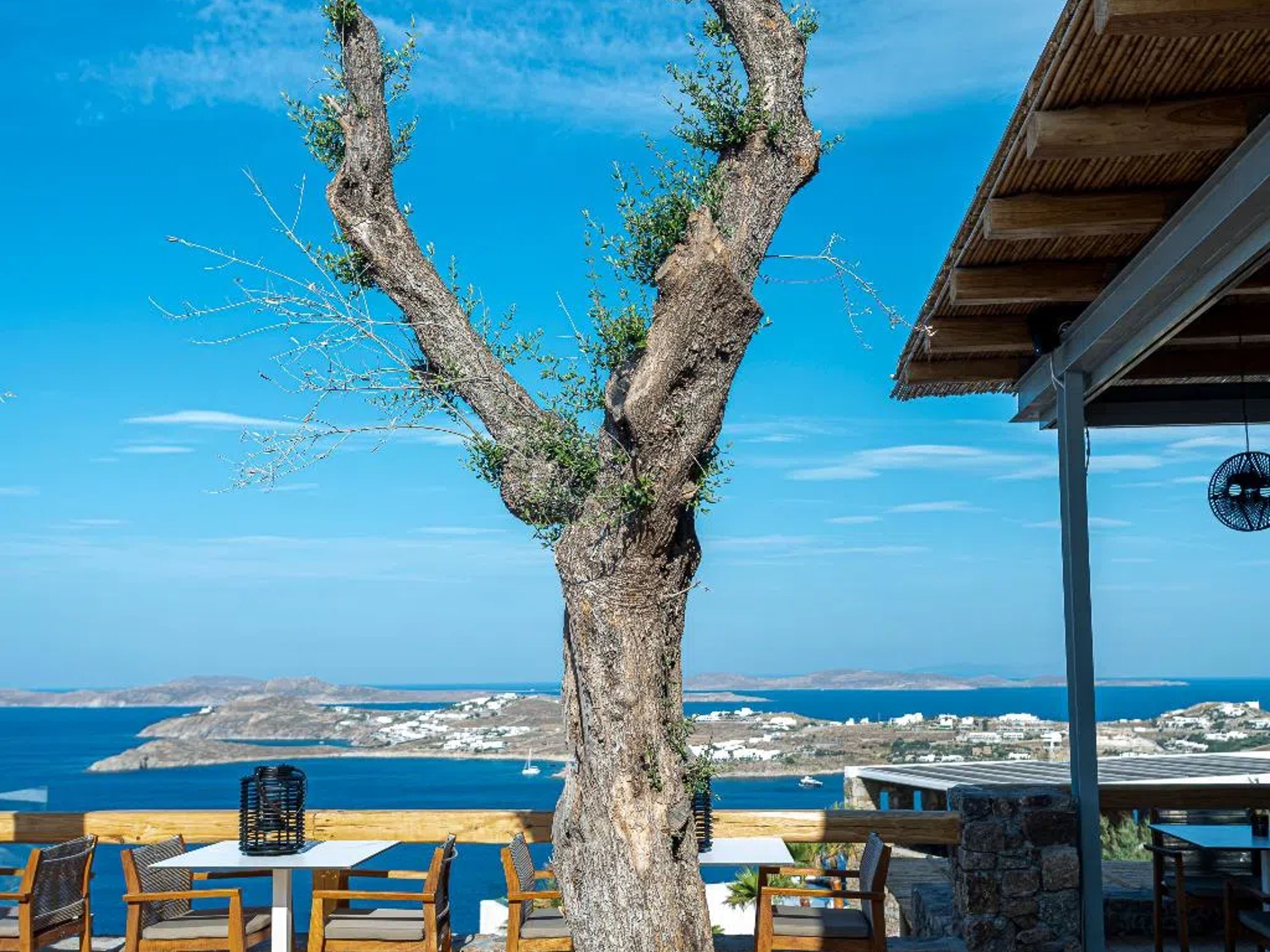 Alissachni Mykonos