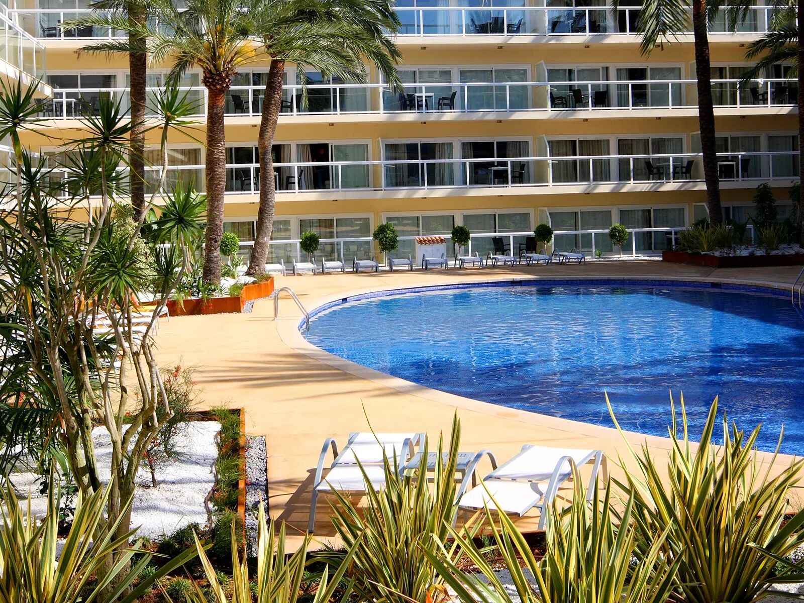 las-gaviotas-suites-hotel