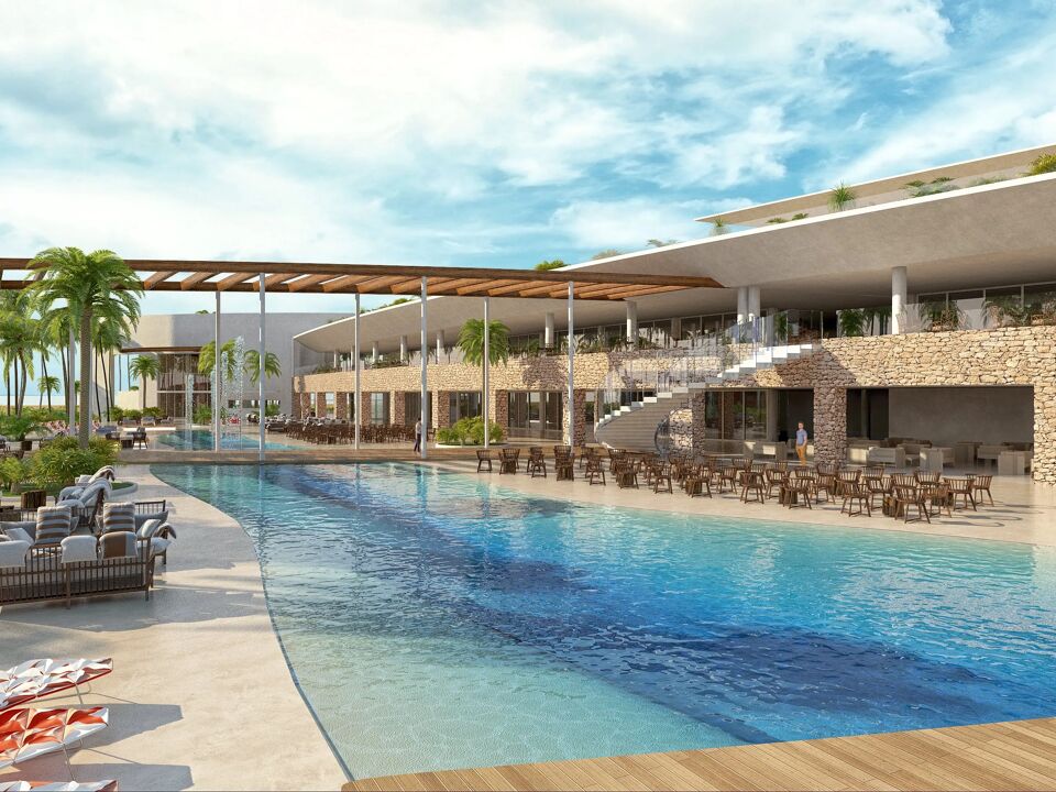 Royal Horizon Baobab