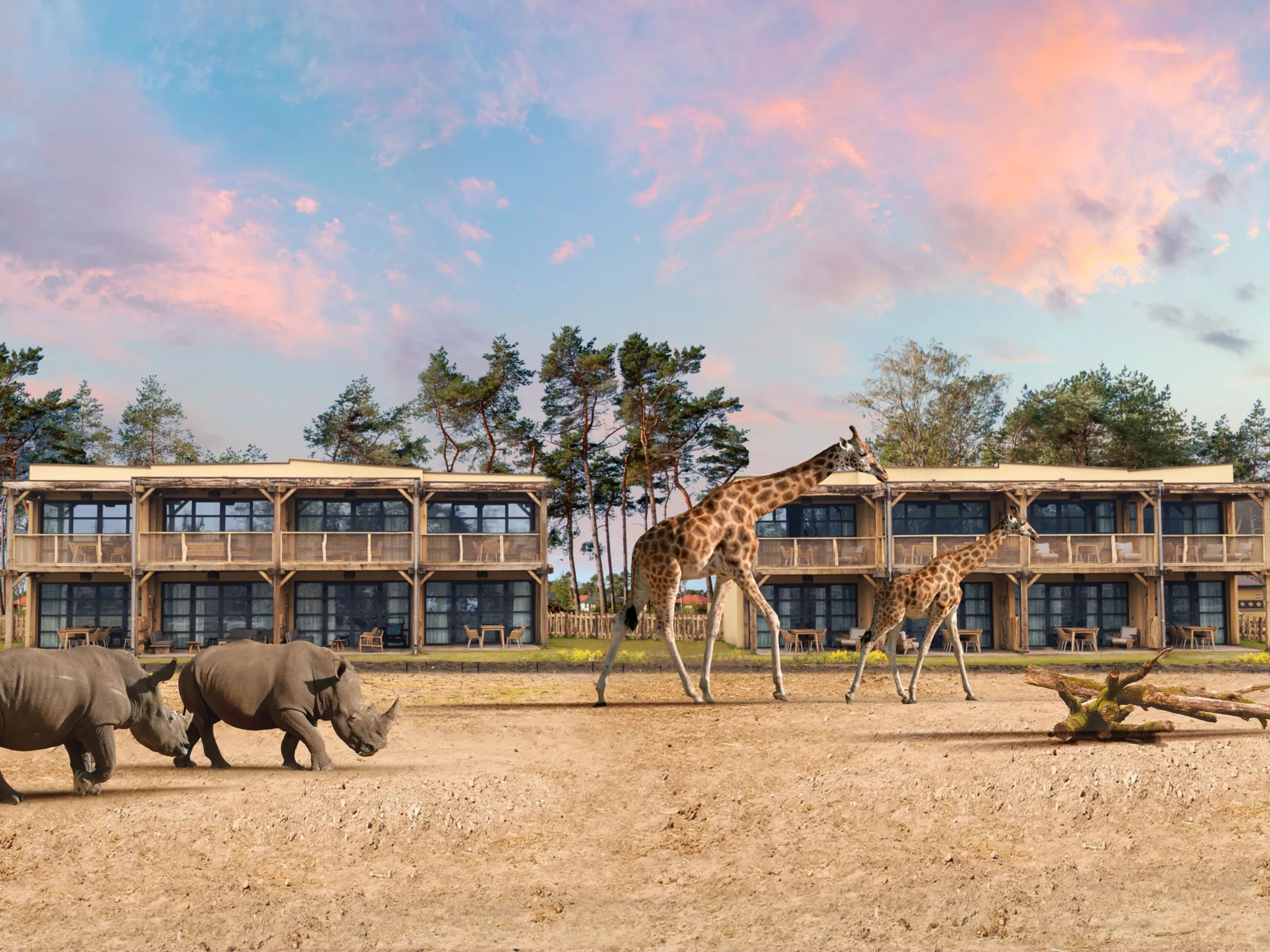 Safari Hotel Beekse Bergen
