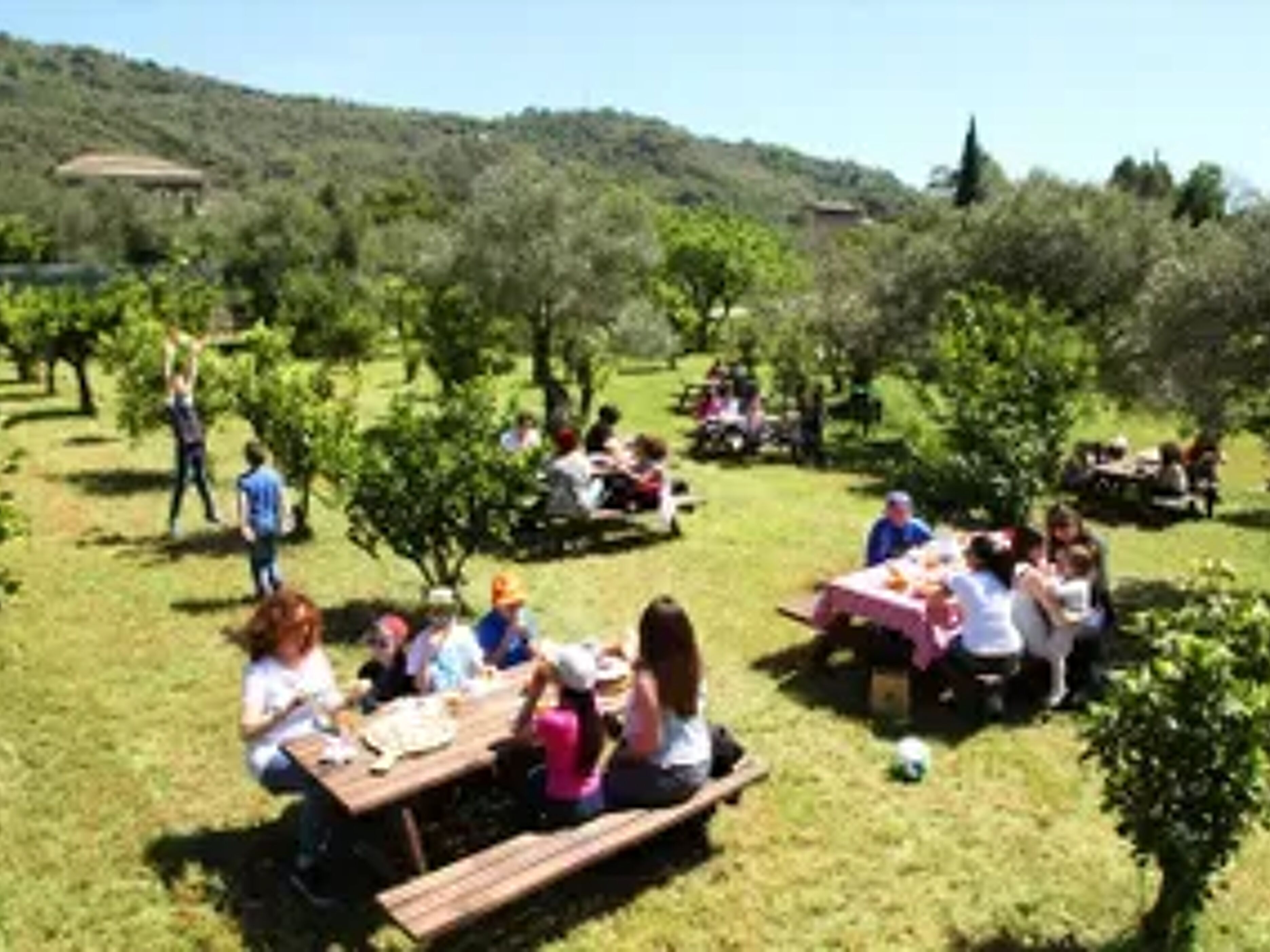 Glamping Alcantara
