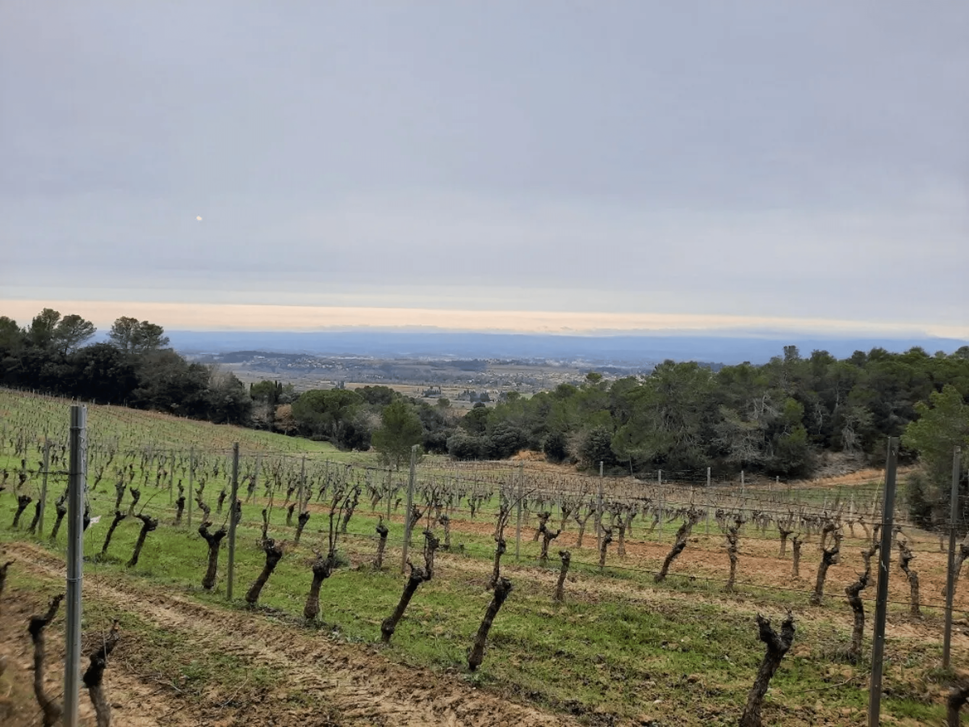 Domaine la Sauzette