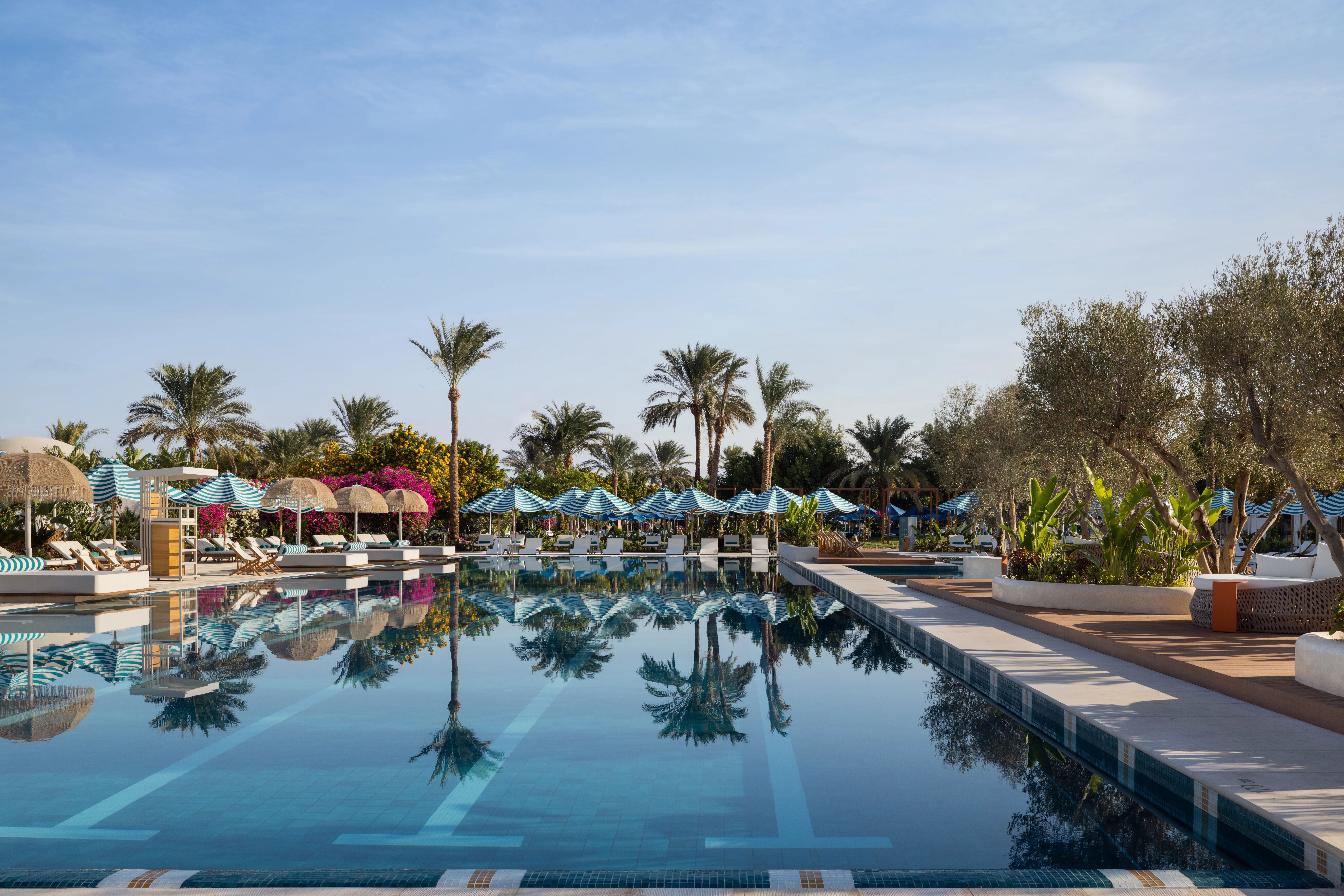 impressie Desert Rose