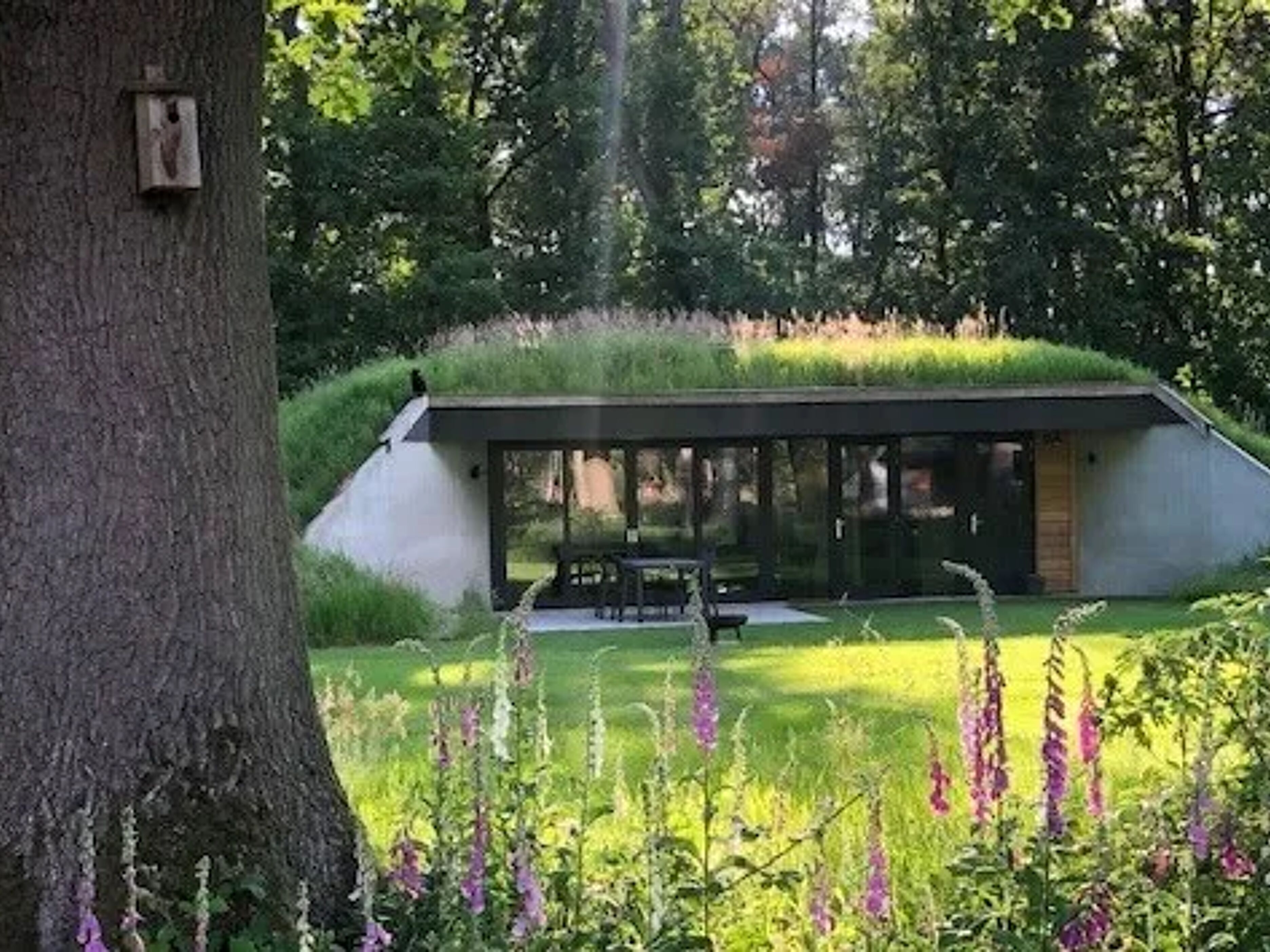 In de Heuvelrug