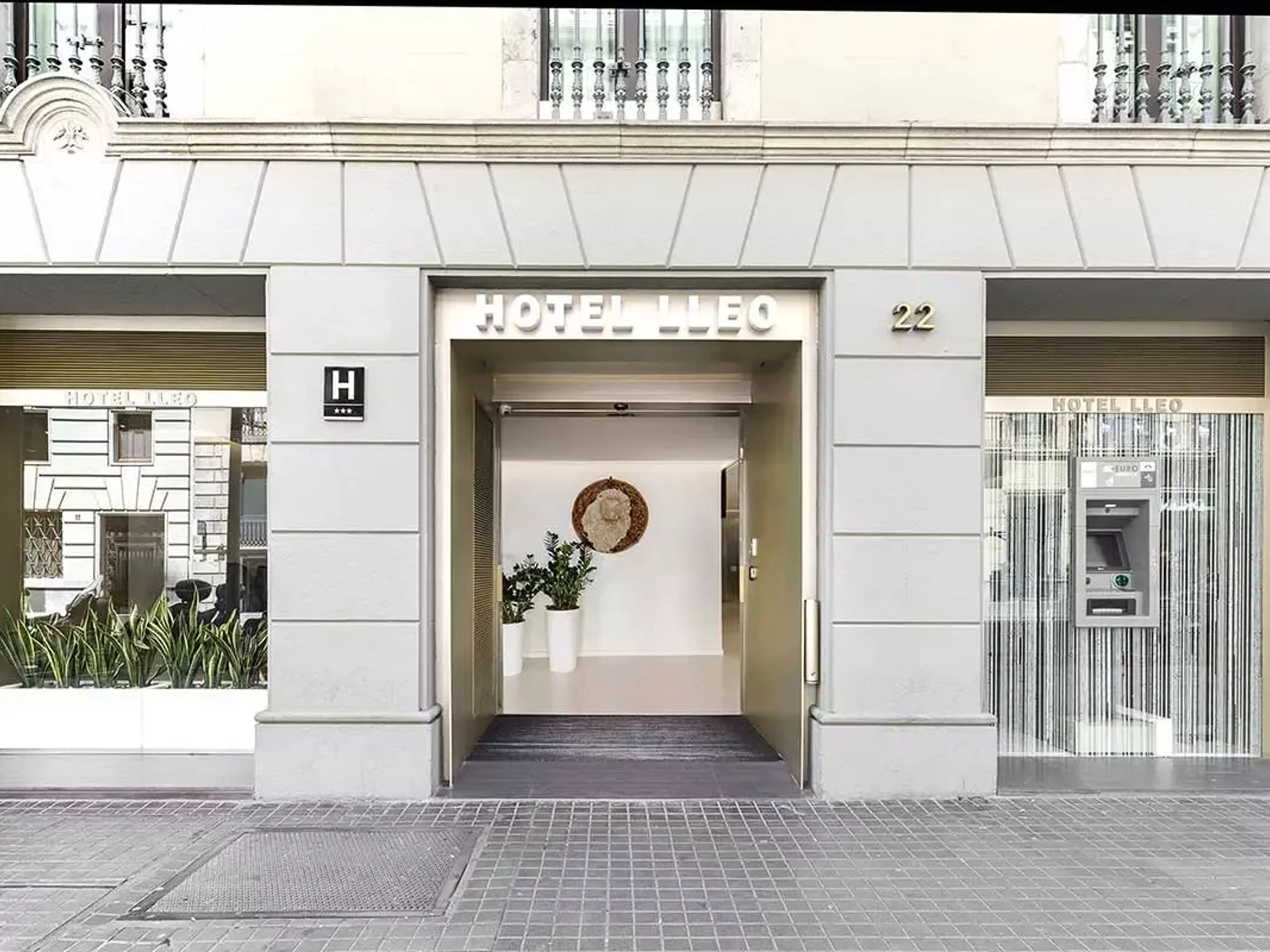 Lleó