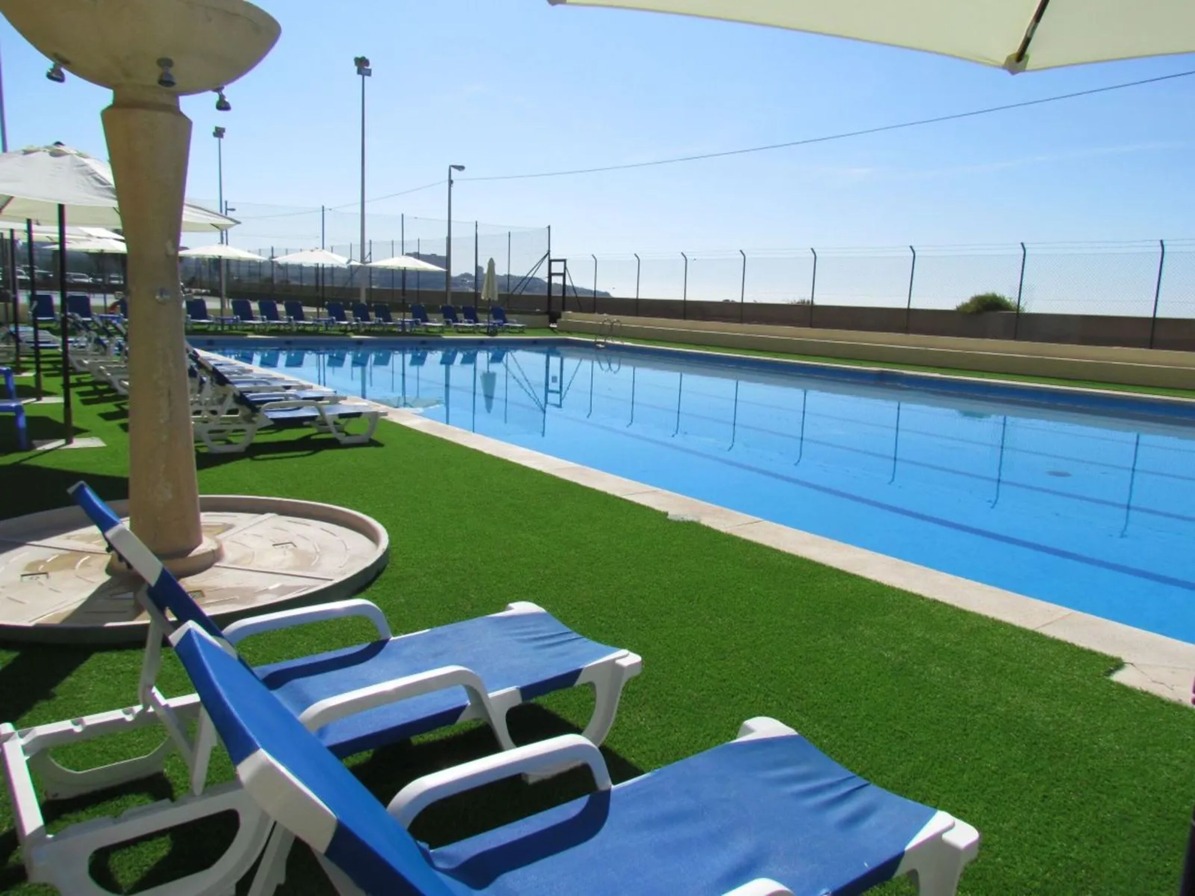 Albahia Alicante