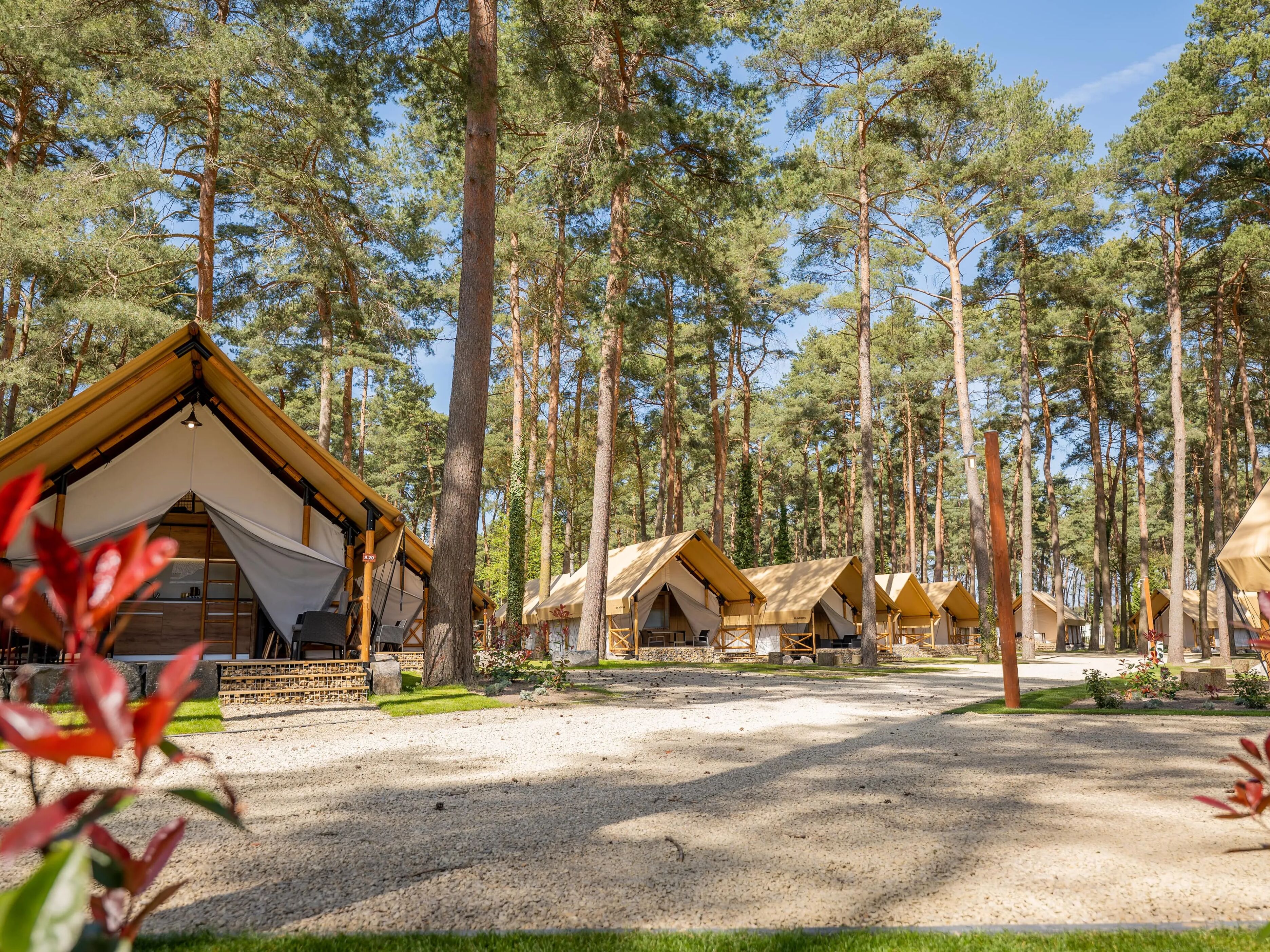 EuroParcs Hoge Kempen