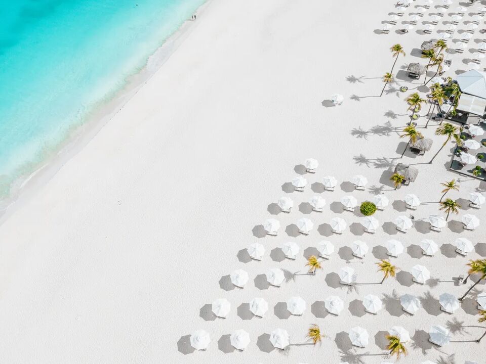 Bucuti & Tara Beach Resort