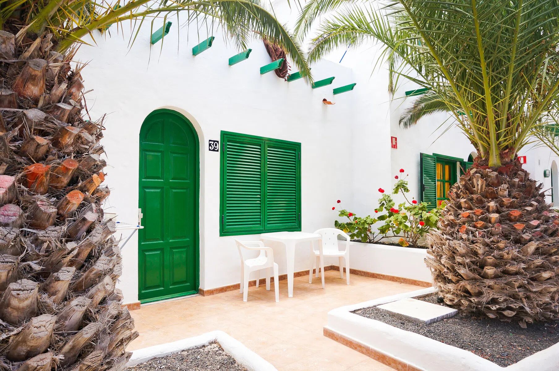 cotillo-lagos