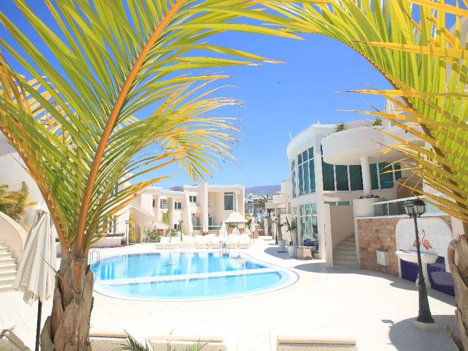 Flamingo suite boutique hotel