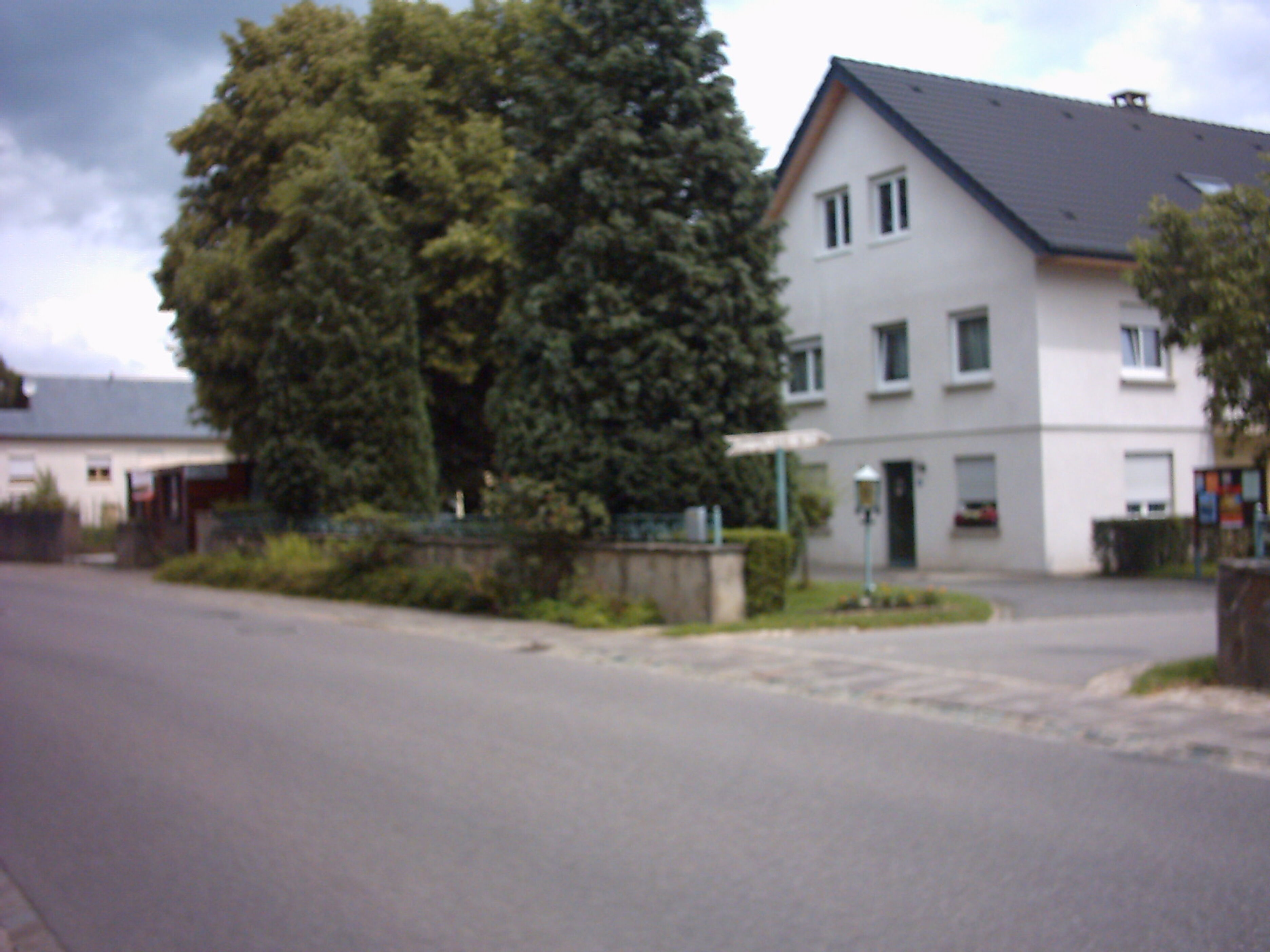 Belle-Vue 2000
