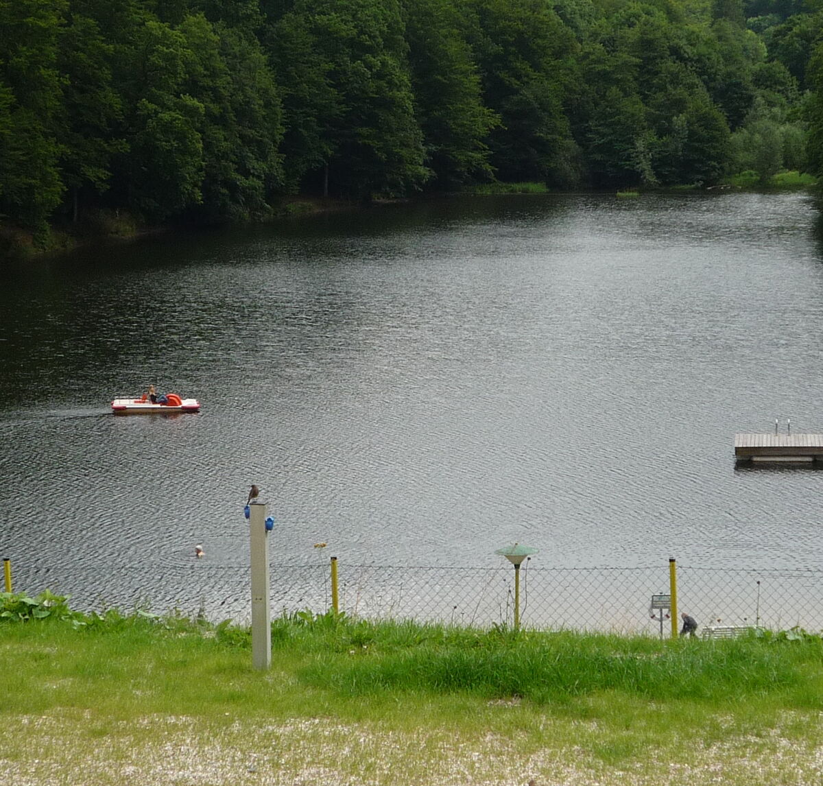 Wiesenbeker Teich in Bad Lauterberg (Harz), Duitsland Zoover