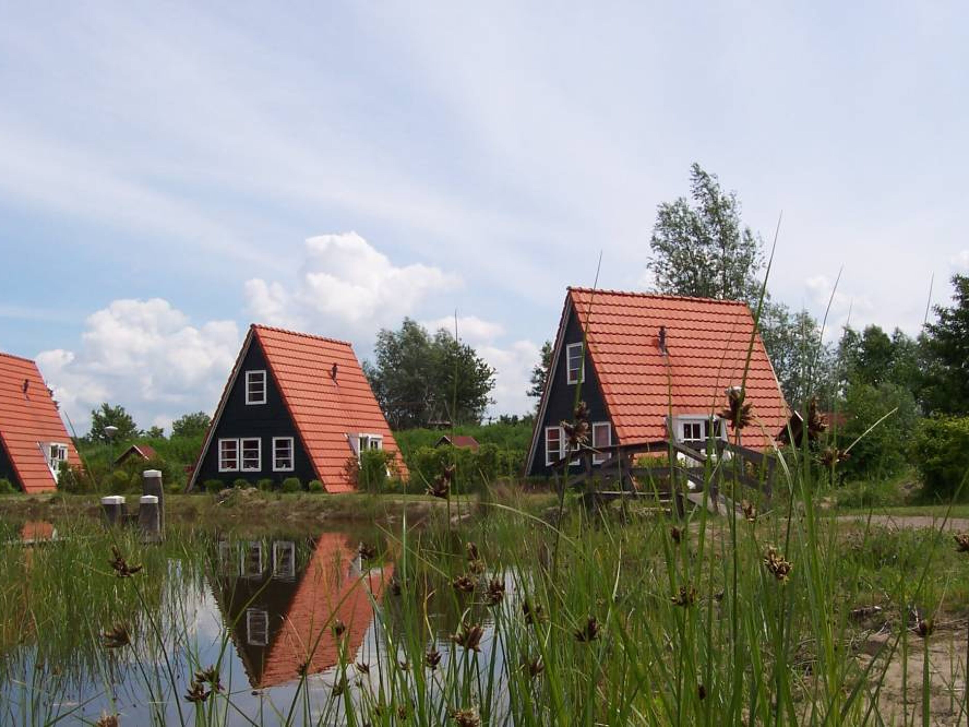 Eigen Wijze