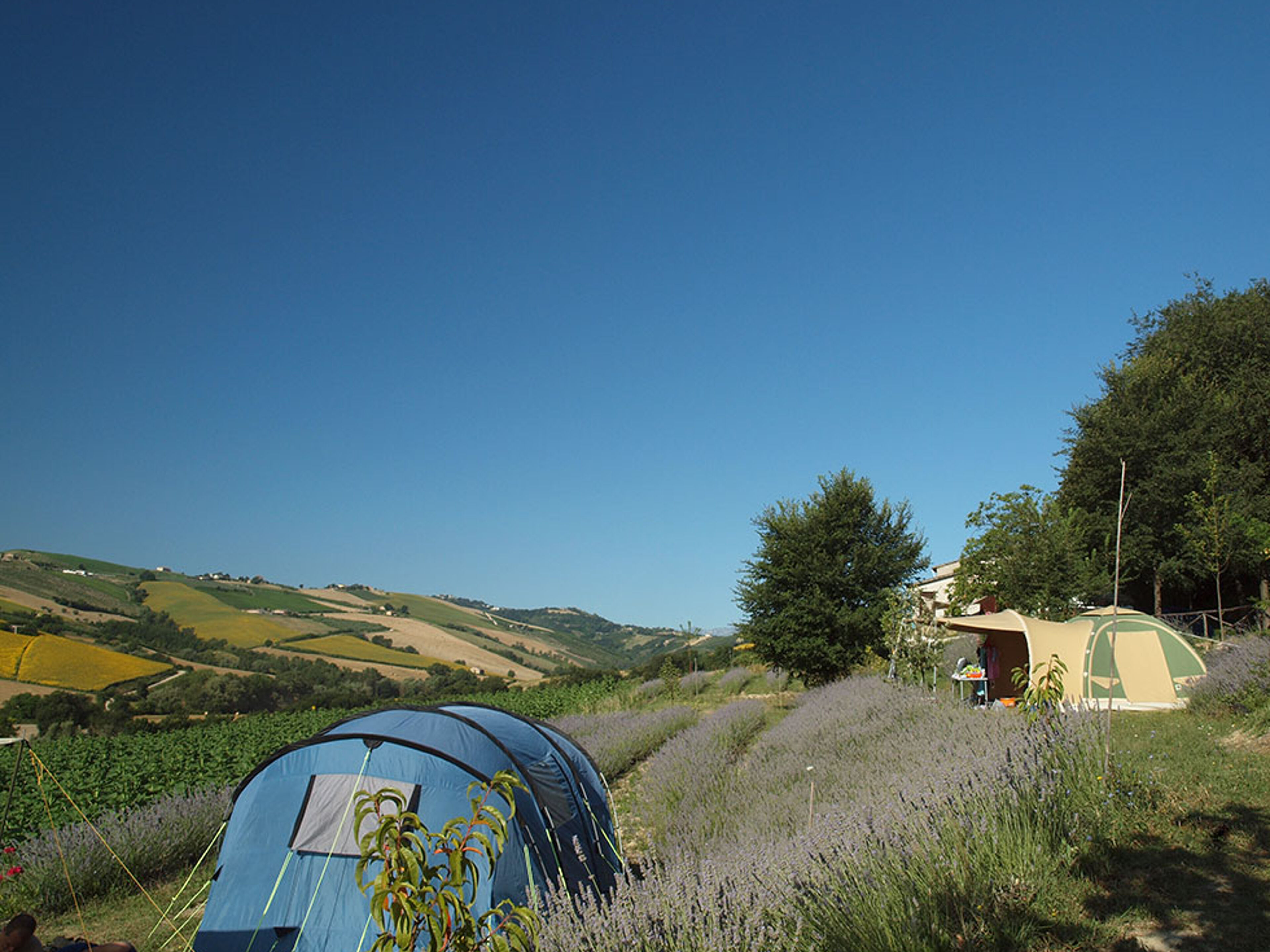 Agriturismo Lavanda Blu (+app+B&B)