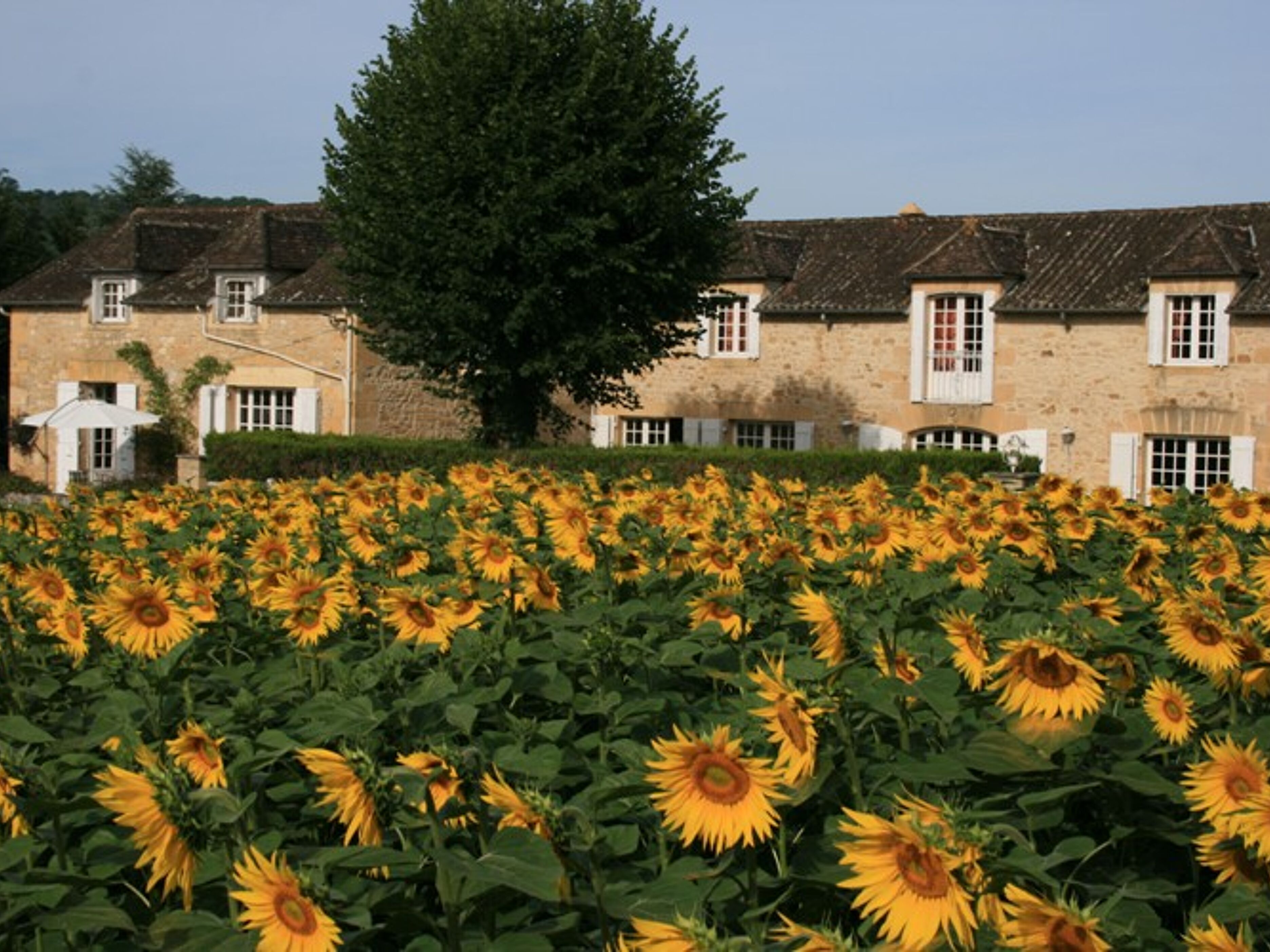 Domaine des Hirondelles