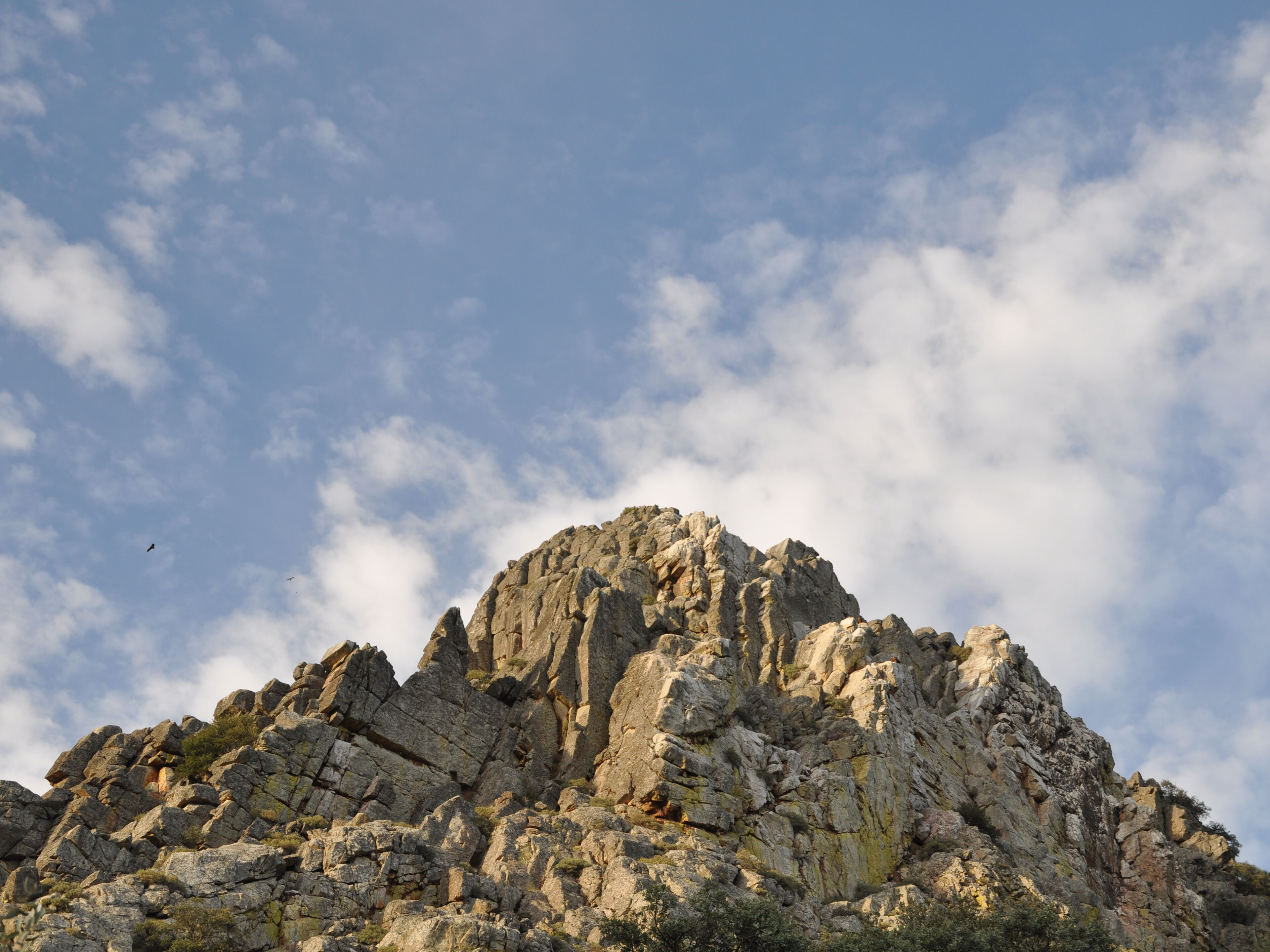 Monfrague
