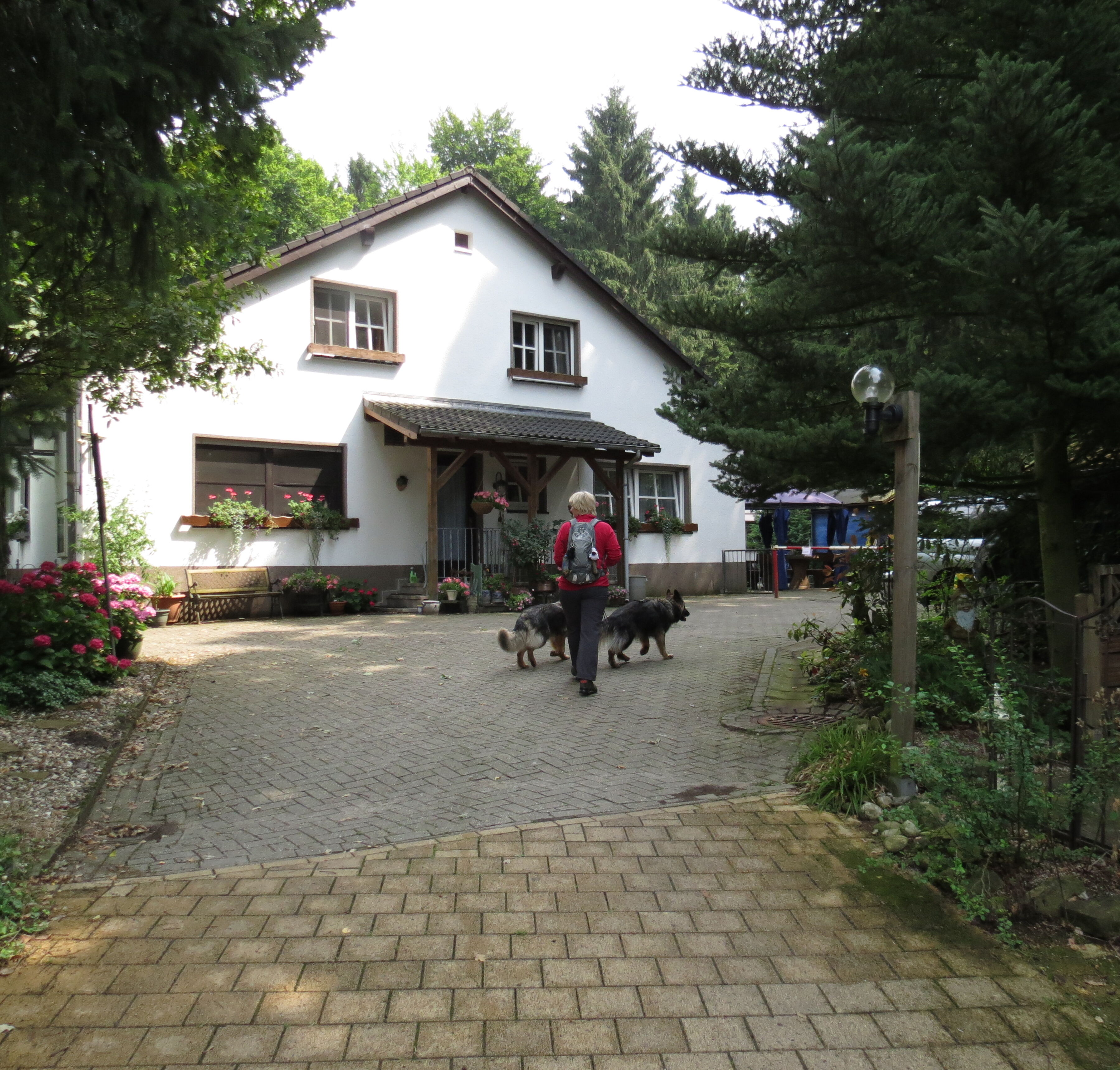 Dörenther Klippen in Ibbenbüren, Duitsland | Zoover