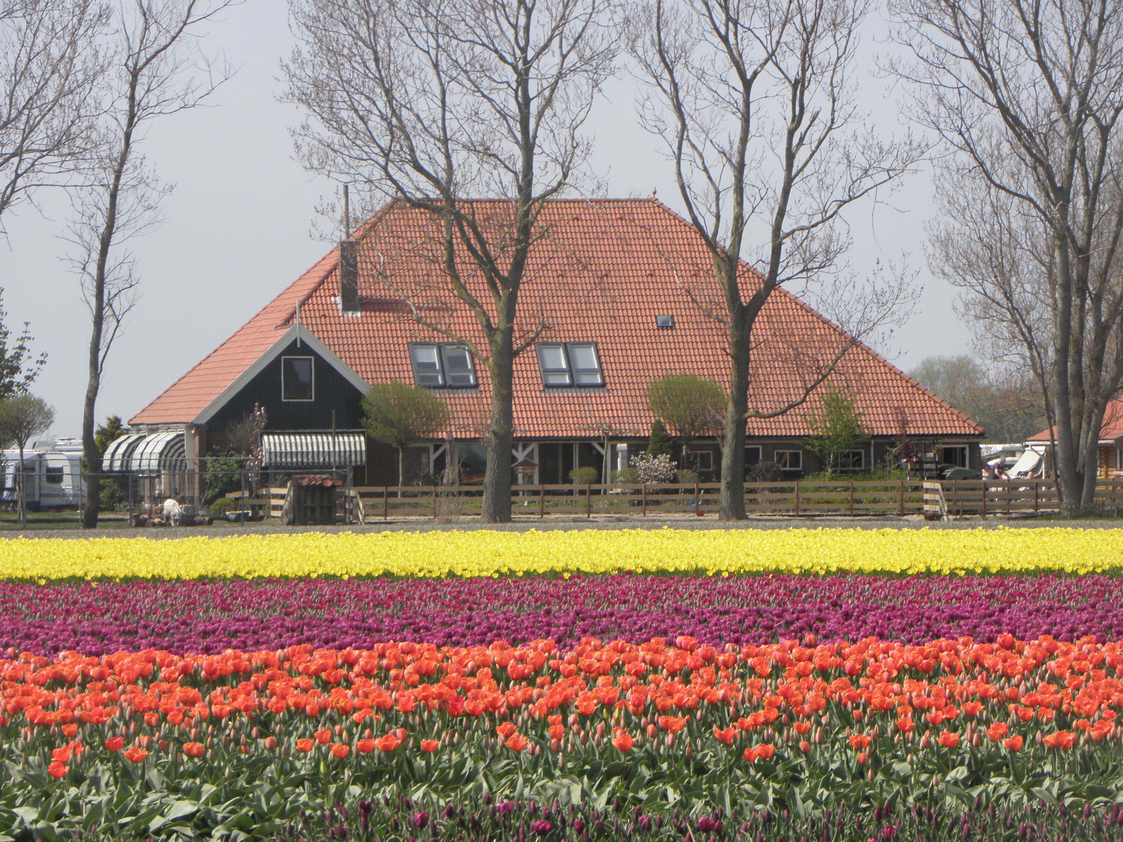 Camping De Tulpenweide