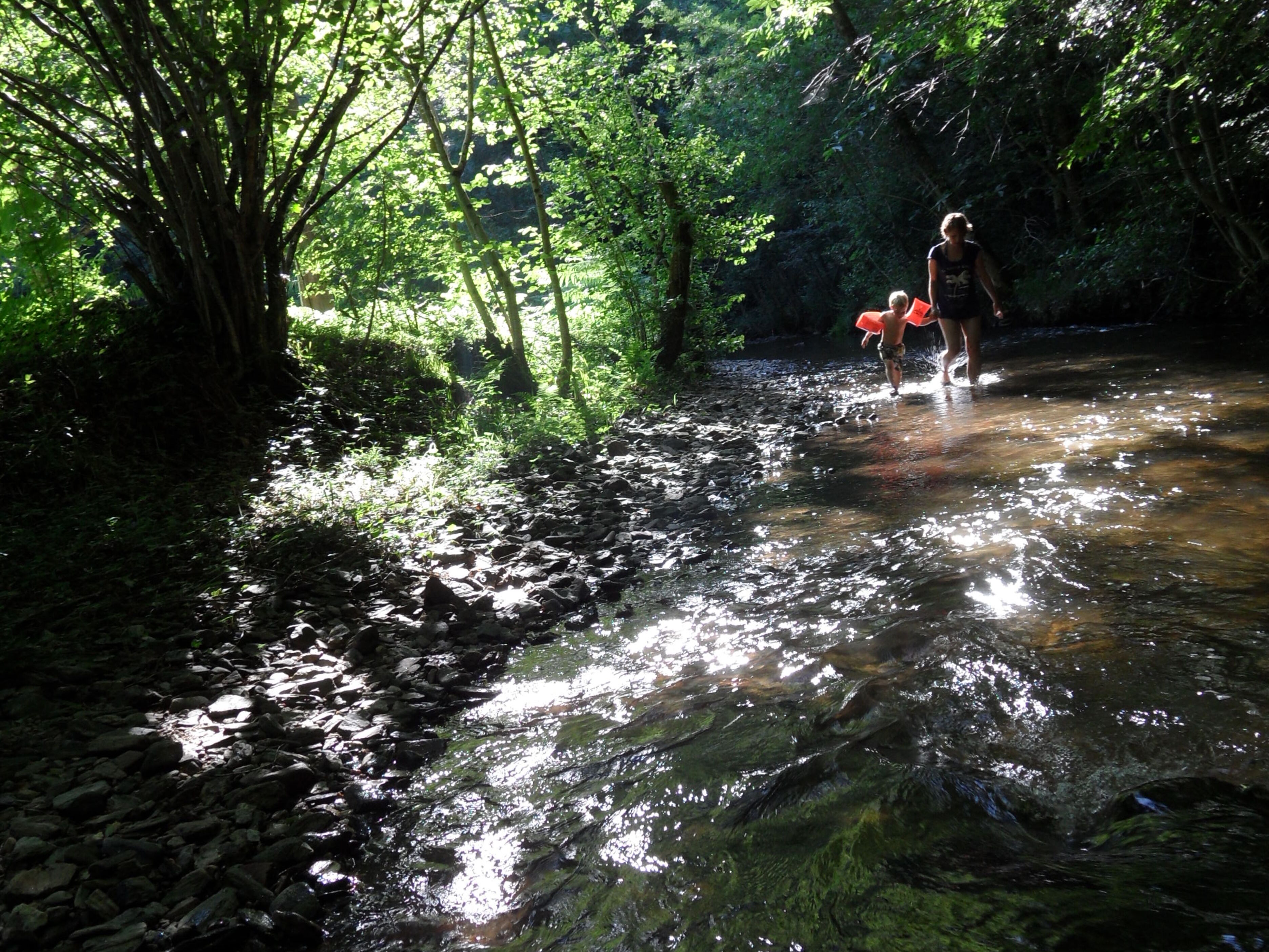 Moulin de Chaules