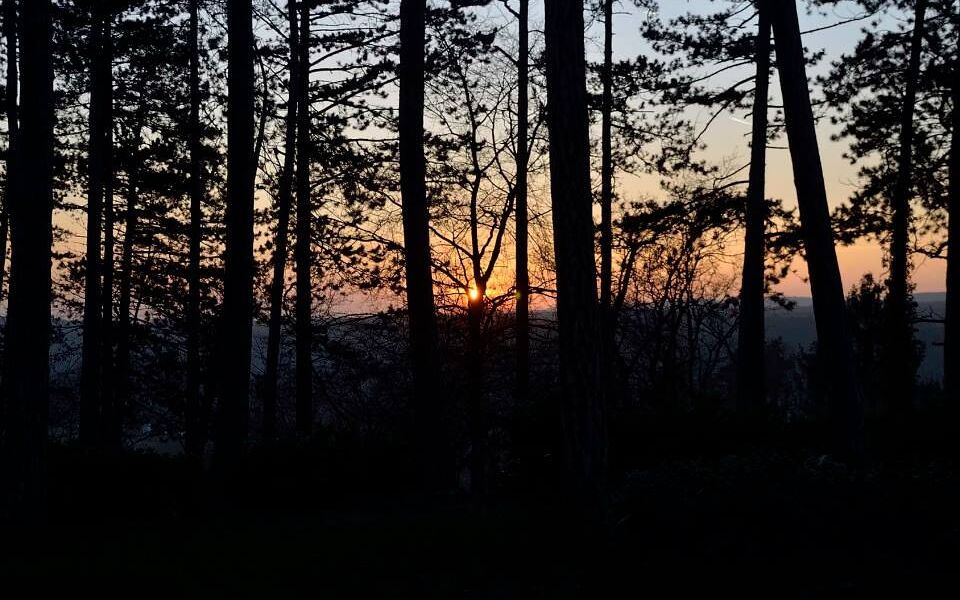 Ardennenverblijf Bomal sur ourthe