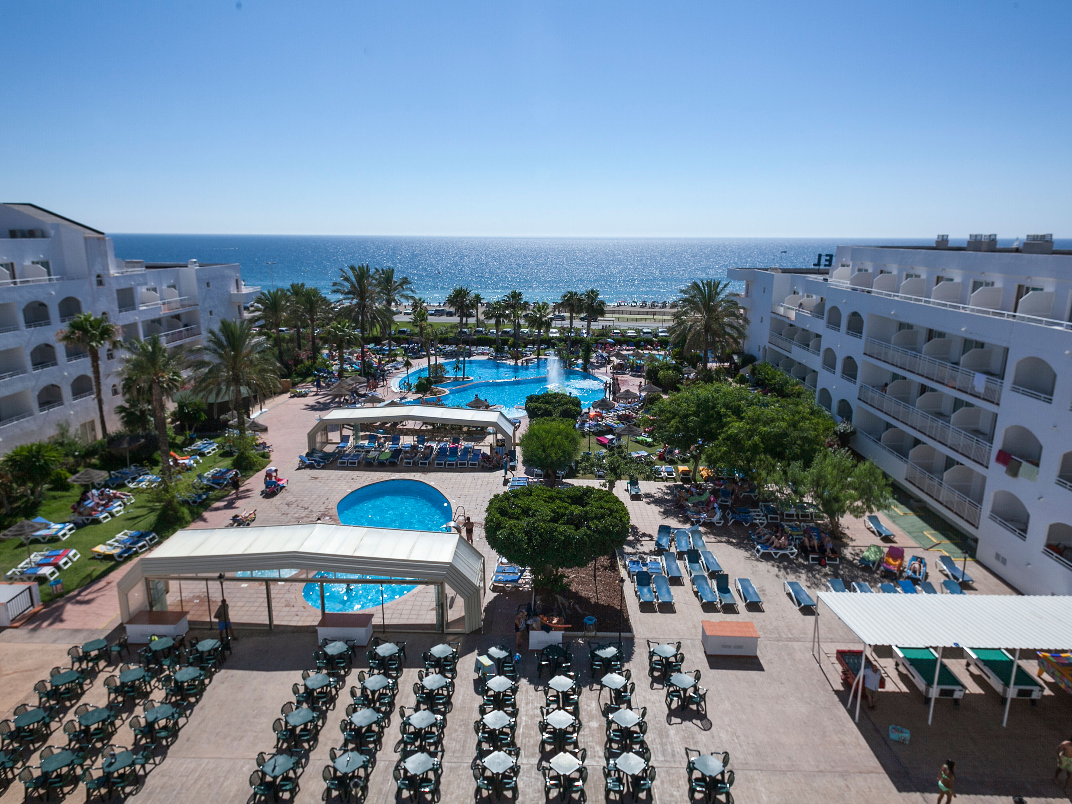 Best Oasis Tropical