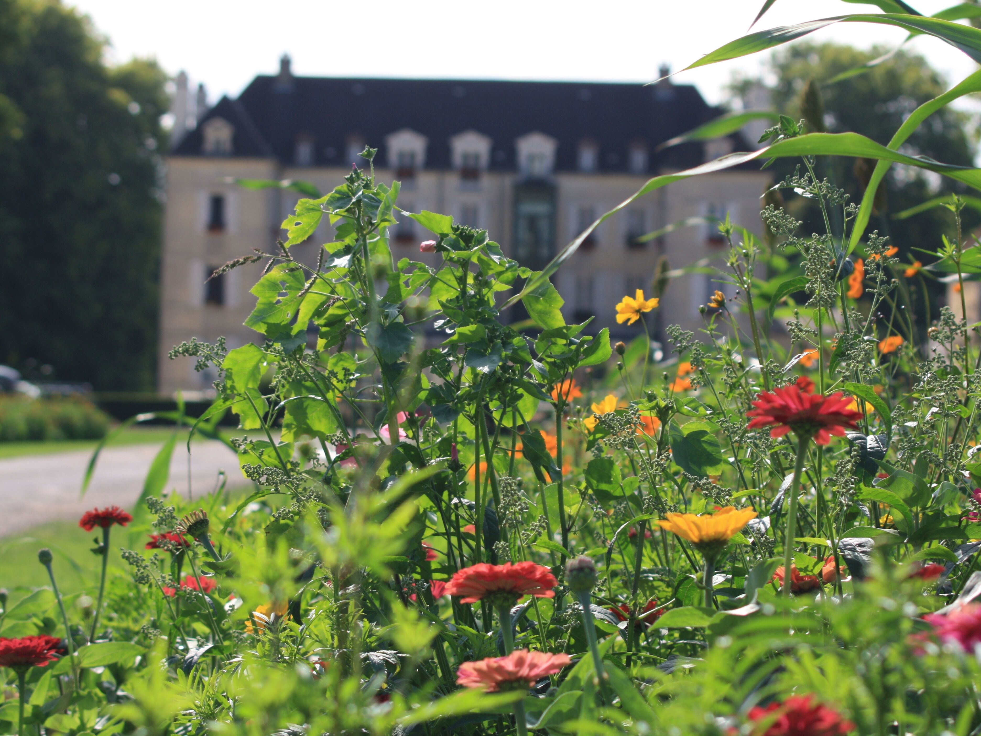 Chateau de Saulon