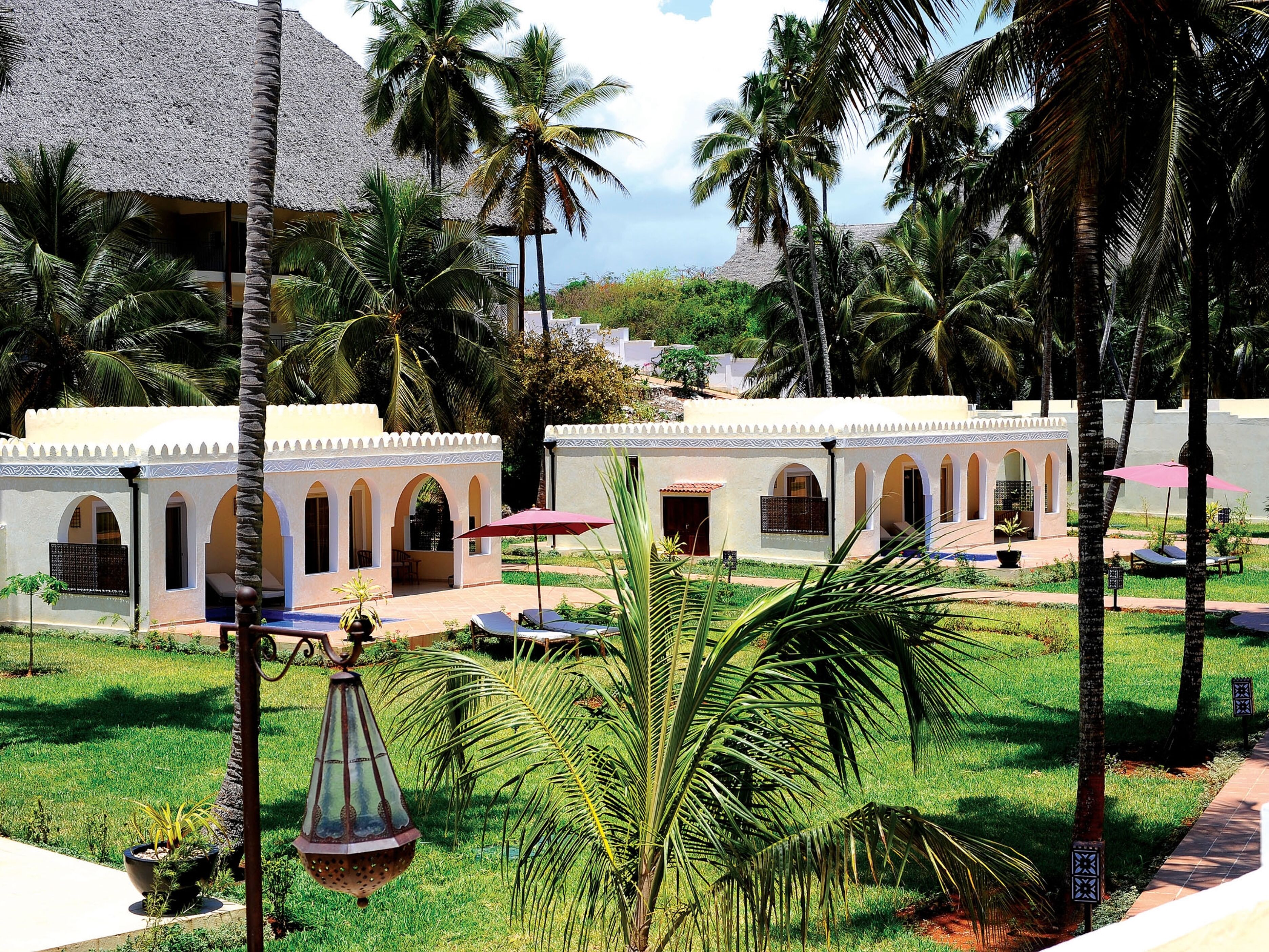 Dream of Zanzibar