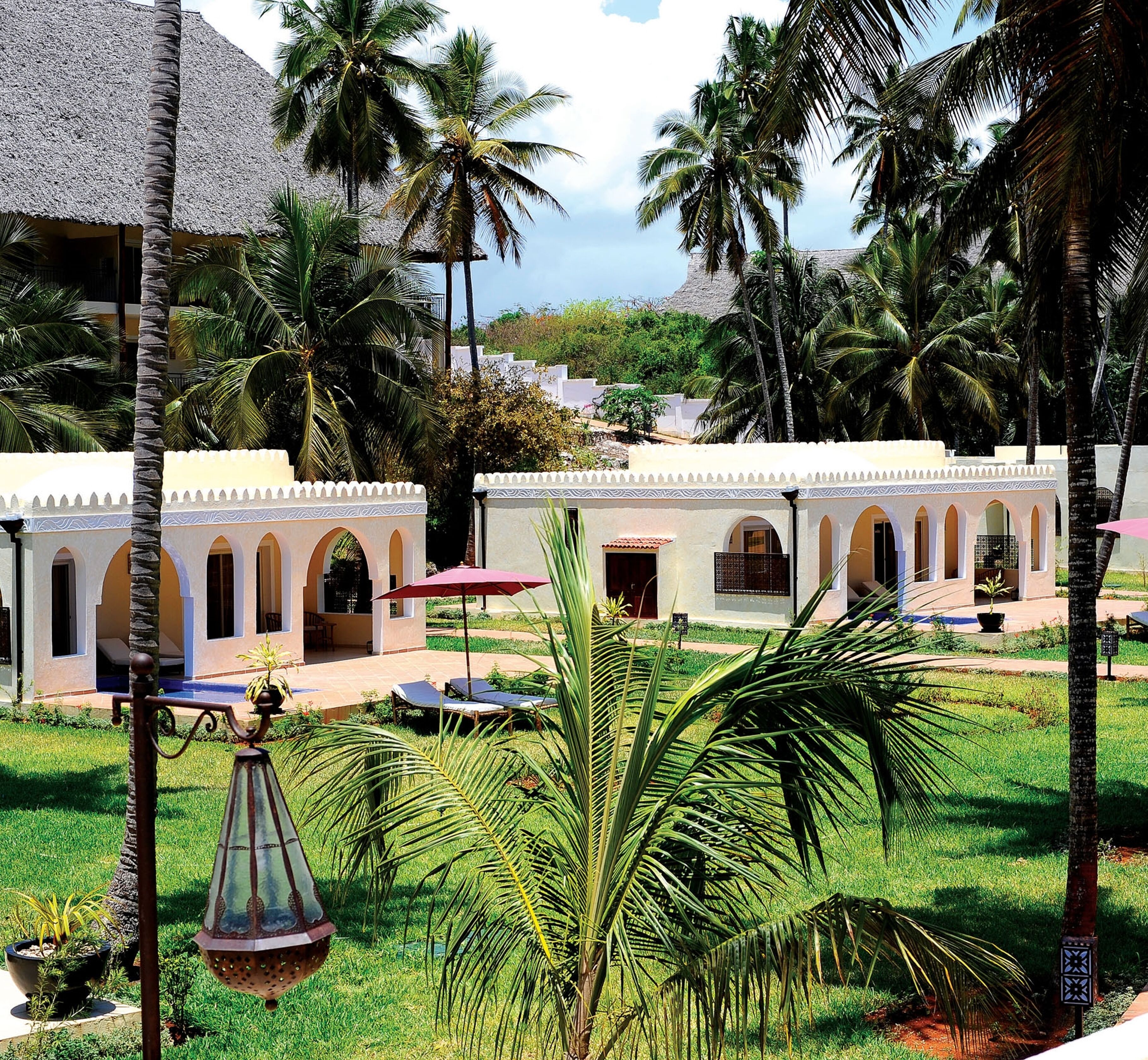 Dream of Zanzibar