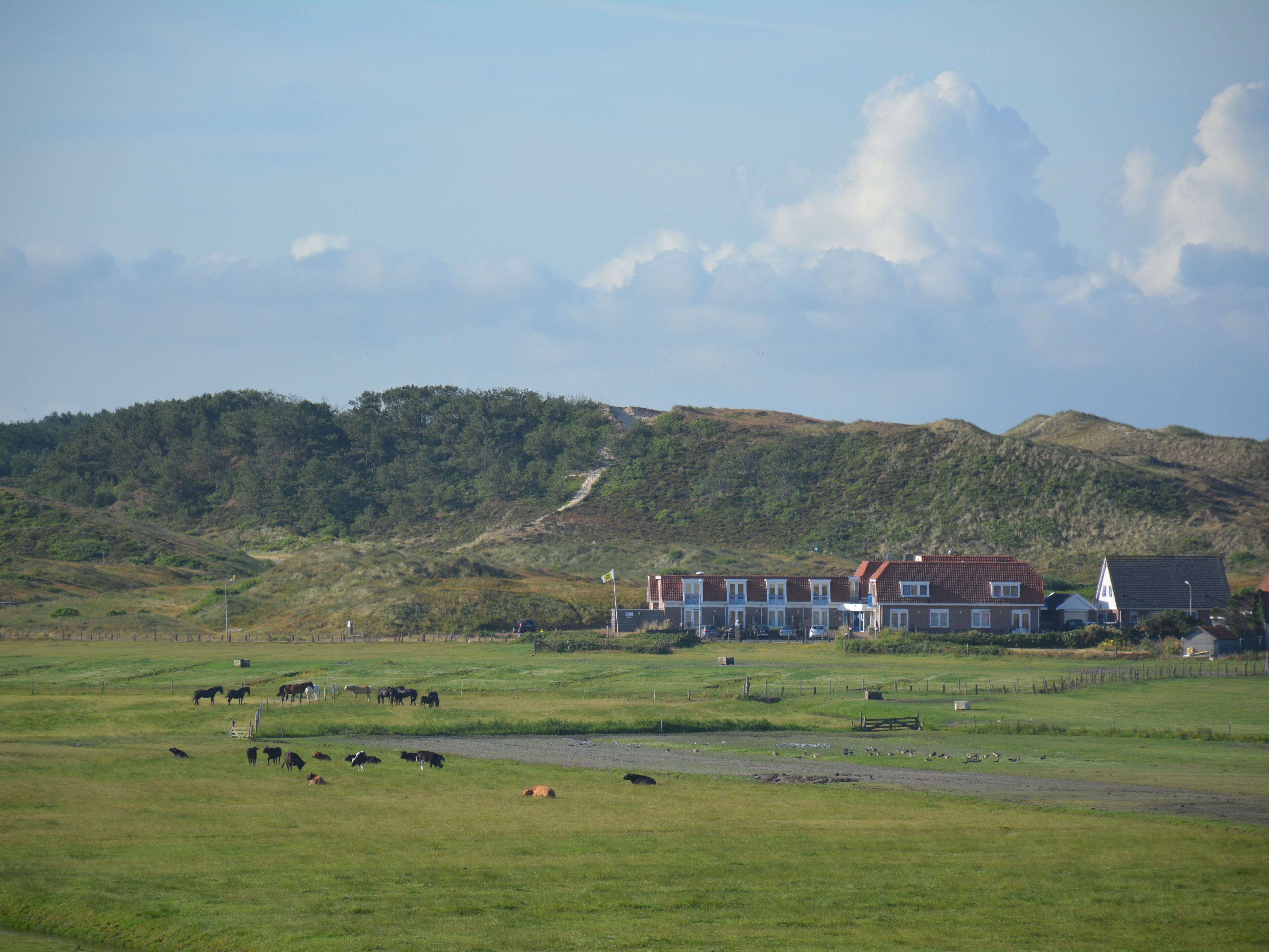 Strandhotel Camperduin