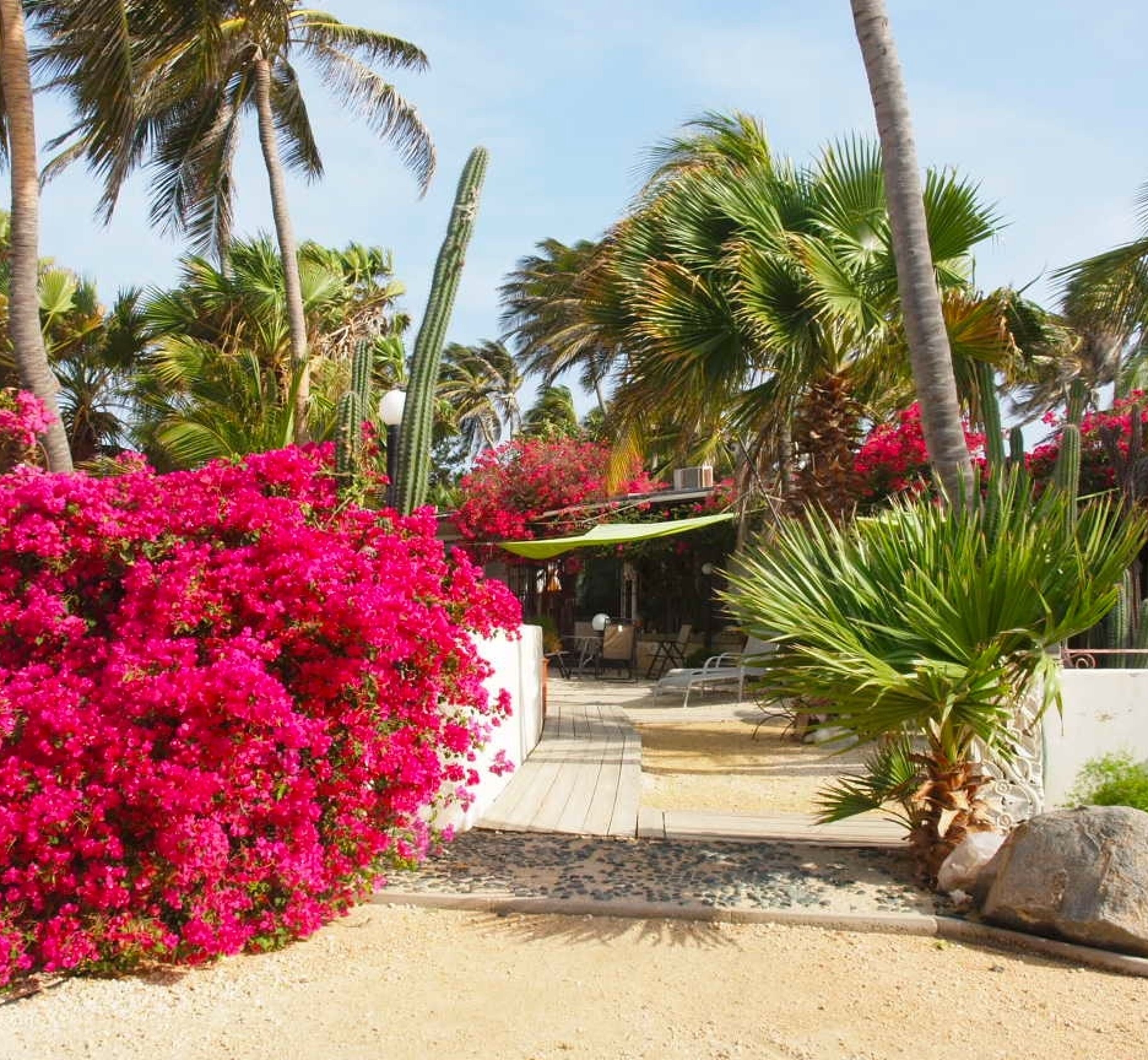 Beach House