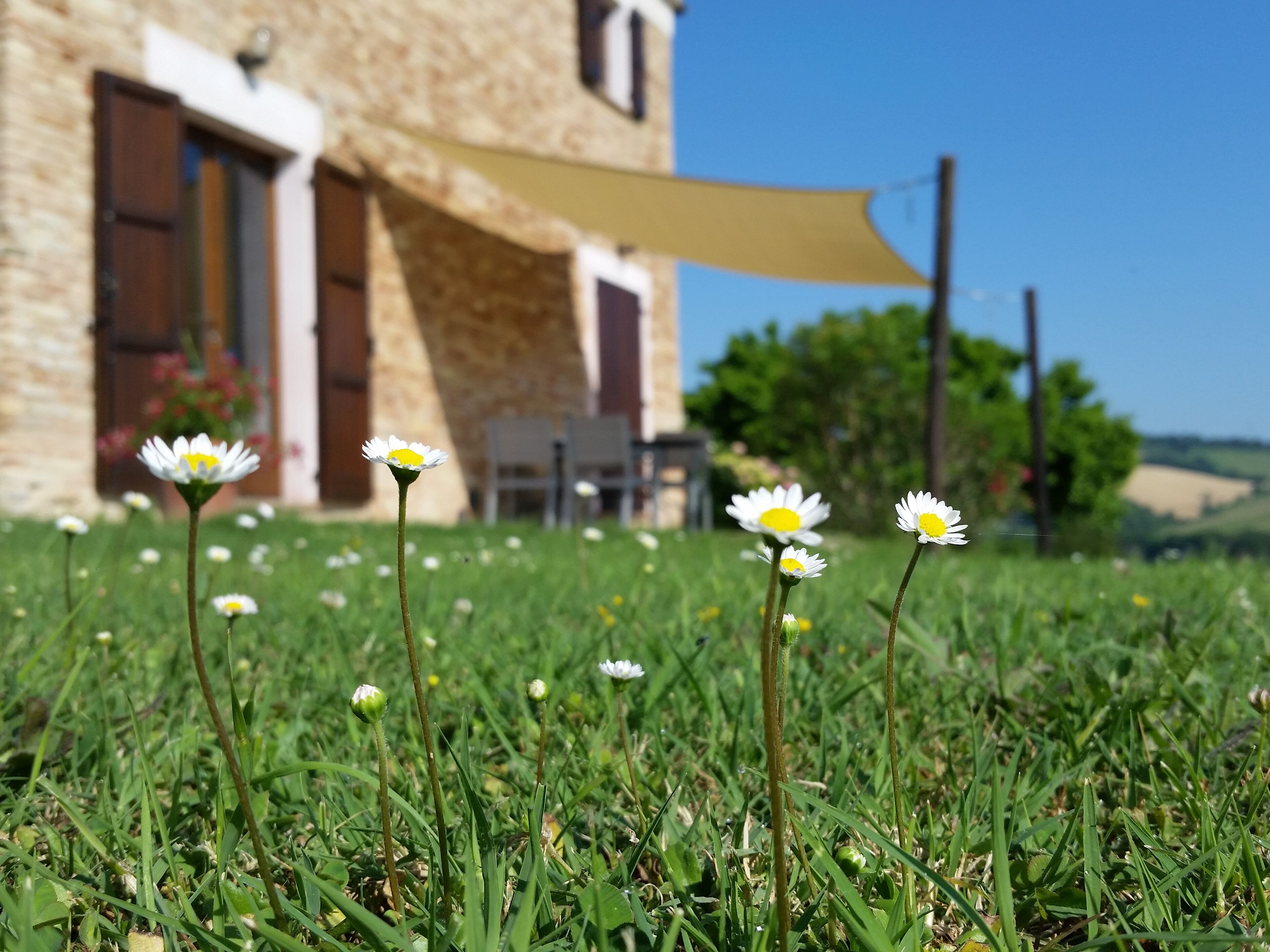 Casa Onda